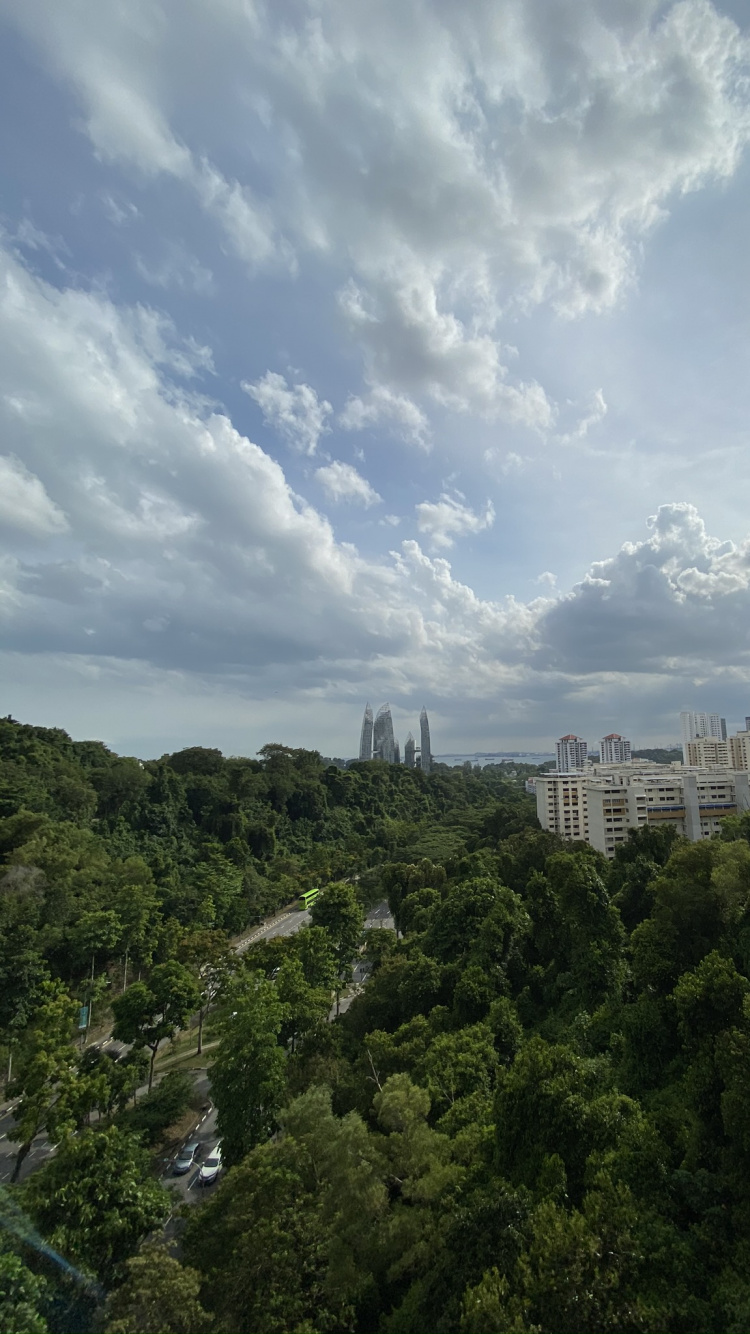 Обои растительность, дневное время, вышка, городской район, кучевое облако в разрешении 750x1334