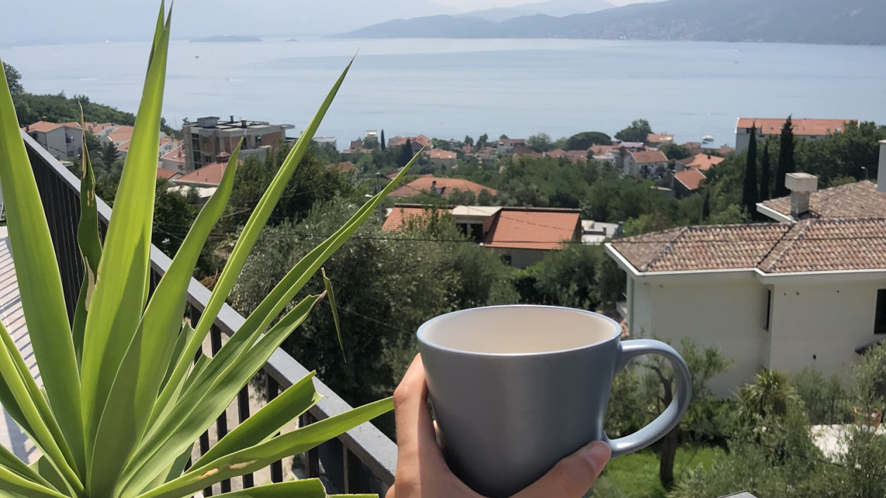 Обои отпуск, пальмовые рощи, рассада, наука, биология в разрешении 1280x720