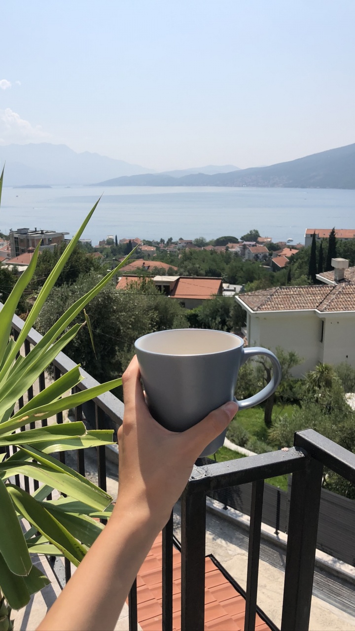 Обои отпуск, пальмовые рощи, рассада, наука, биология в разрешении 720x1280