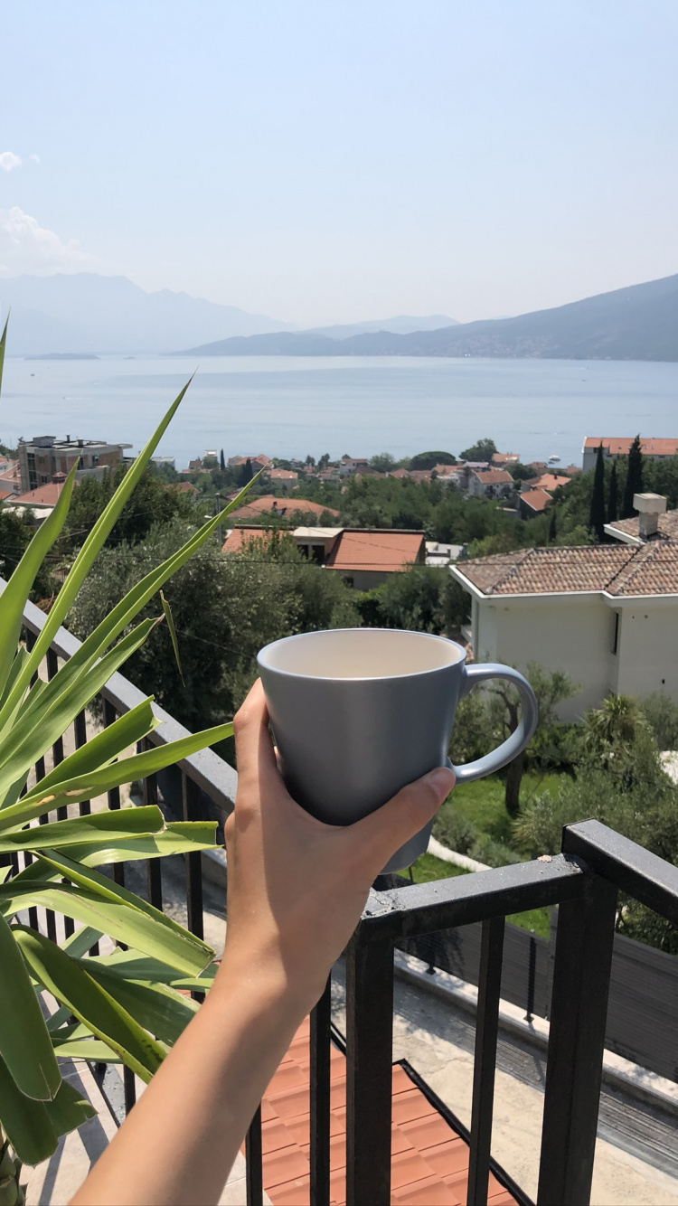 Обои отпуск, пальмовые рощи, рассада, наука, биология в разрешении 750x1334