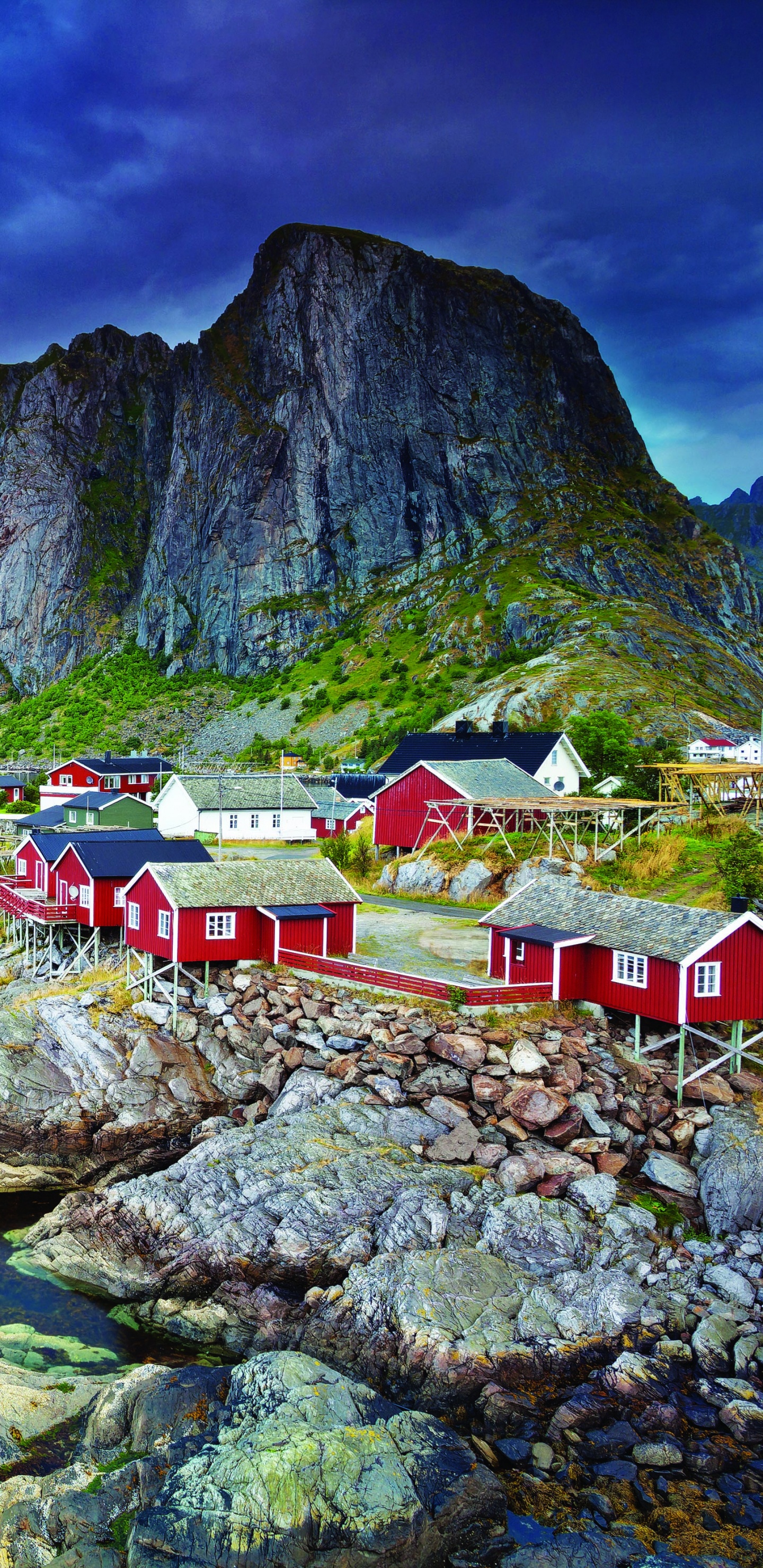 Обои Лофотен, фьорд, природа, гора, пейзаж в разрешении 1440x2960