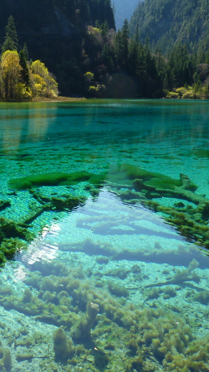 Обои природа, гидроресурсы, вода, растительность, природный заповедник в разрешении 720x1280