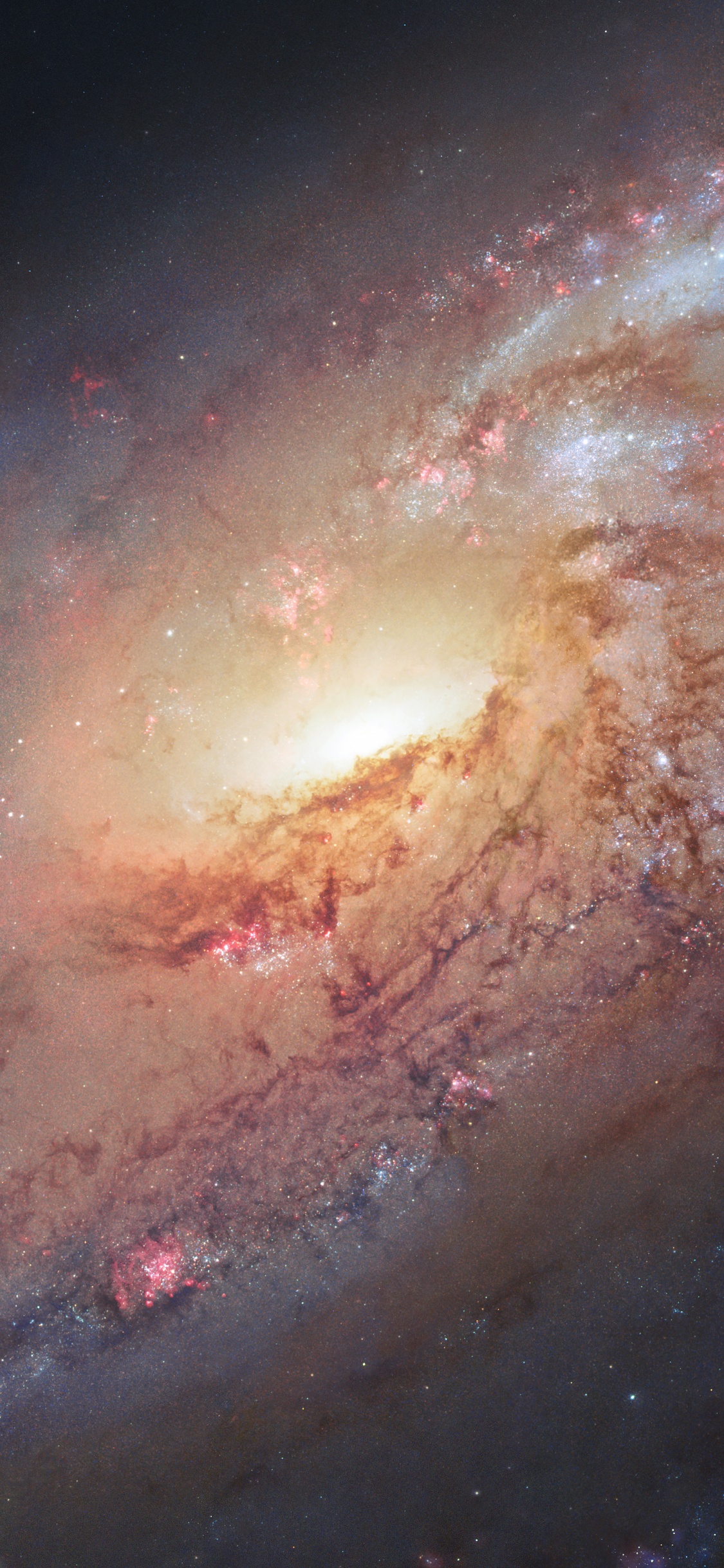 Обои беспорядочная галактика 106, Мессье 106, Галактика, спиральная Галактика, Объект мессье в разрешении 1125x2436