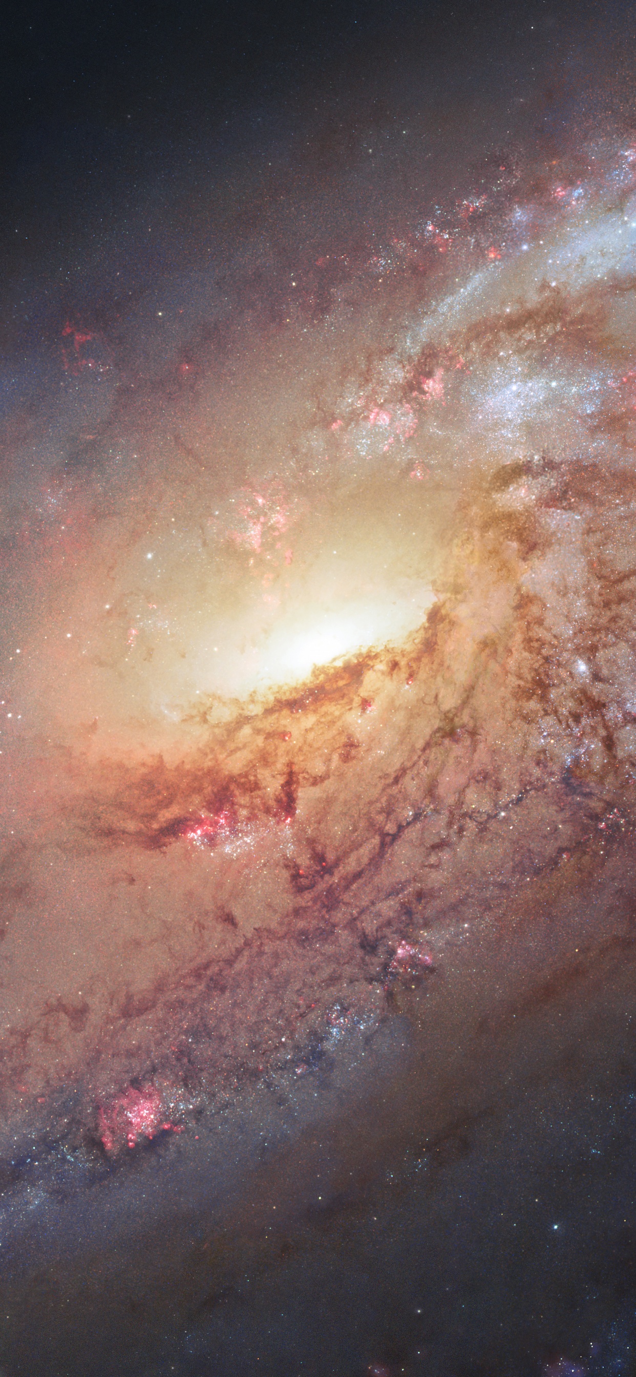 Обои беспорядочная галактика 106, Мессье 106, Галактика, спиральная Галактика, Объект мессье в разрешении 1242x2688