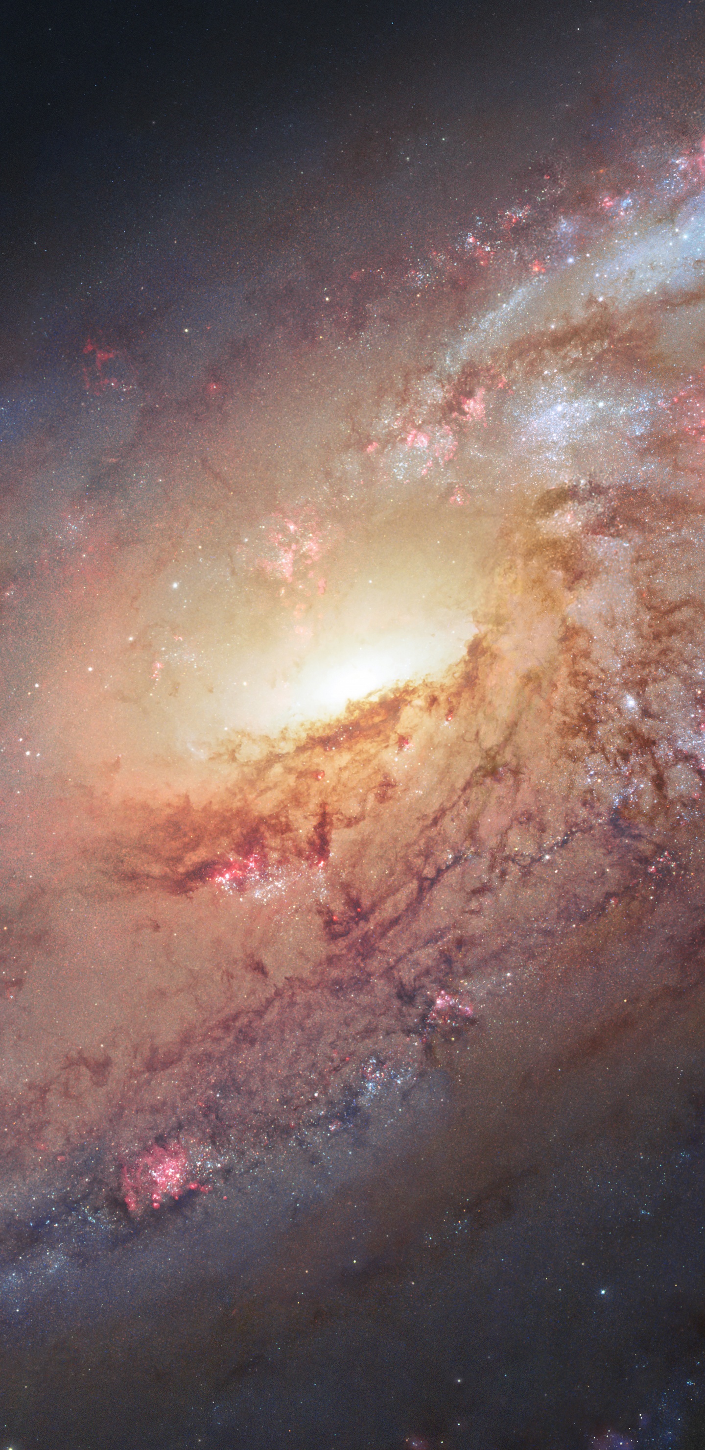 Обои беспорядочная галактика 106, Мессье 106, Галактика, спиральная Галактика, Объект мессье в разрешении 1440x2960