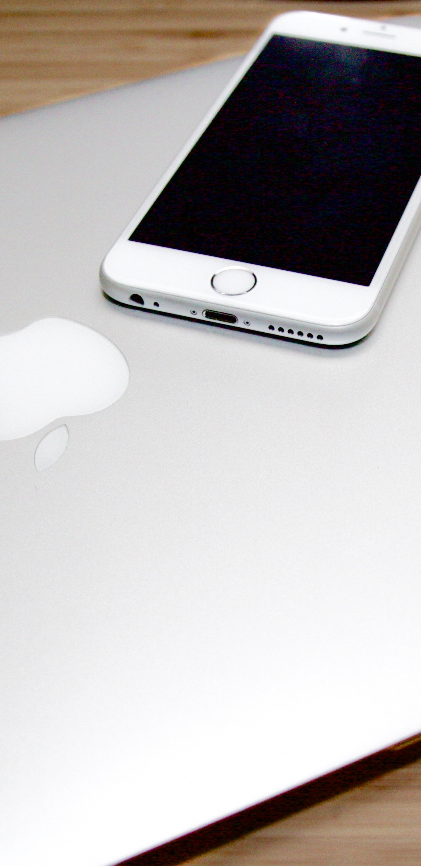 Обои Apple МасВоок Pro, apple, смартфон, гаджет, белые в разрешении 1440x2960