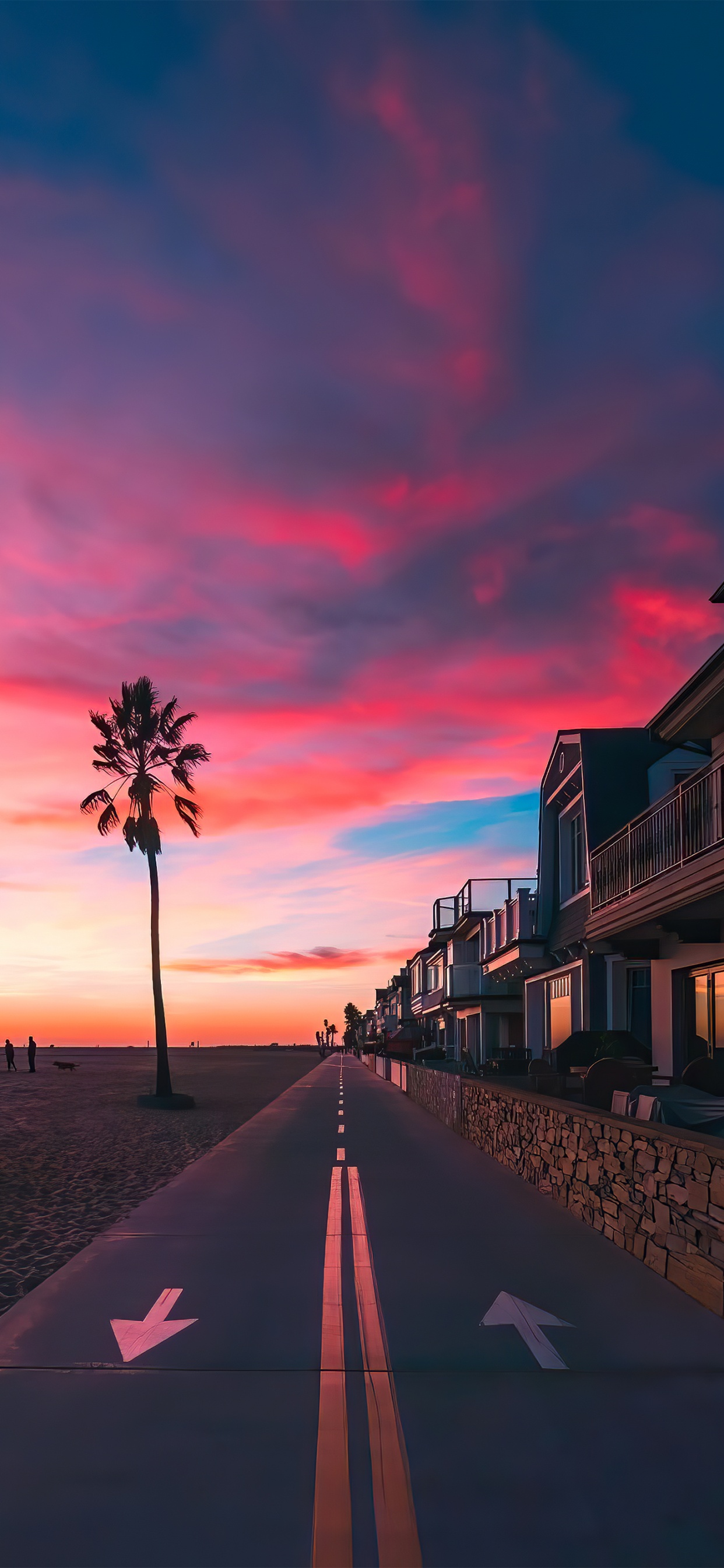 Обои Пальма, облако, атмосфера, дерево, послесвечение в разрешении 1242x2688