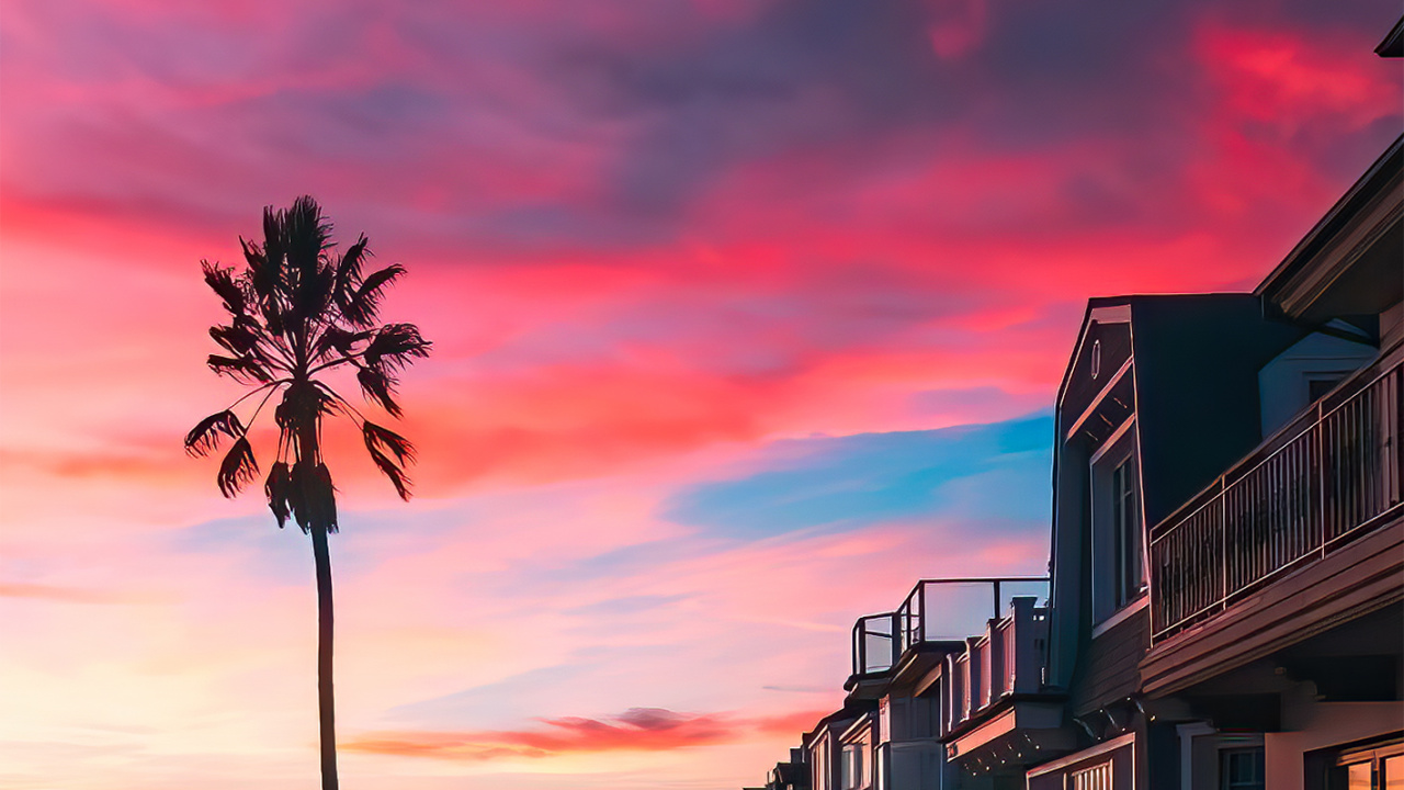 Обои Пальма, облако, атмосфера, дерево, послесвечение в разрешении 1280x720