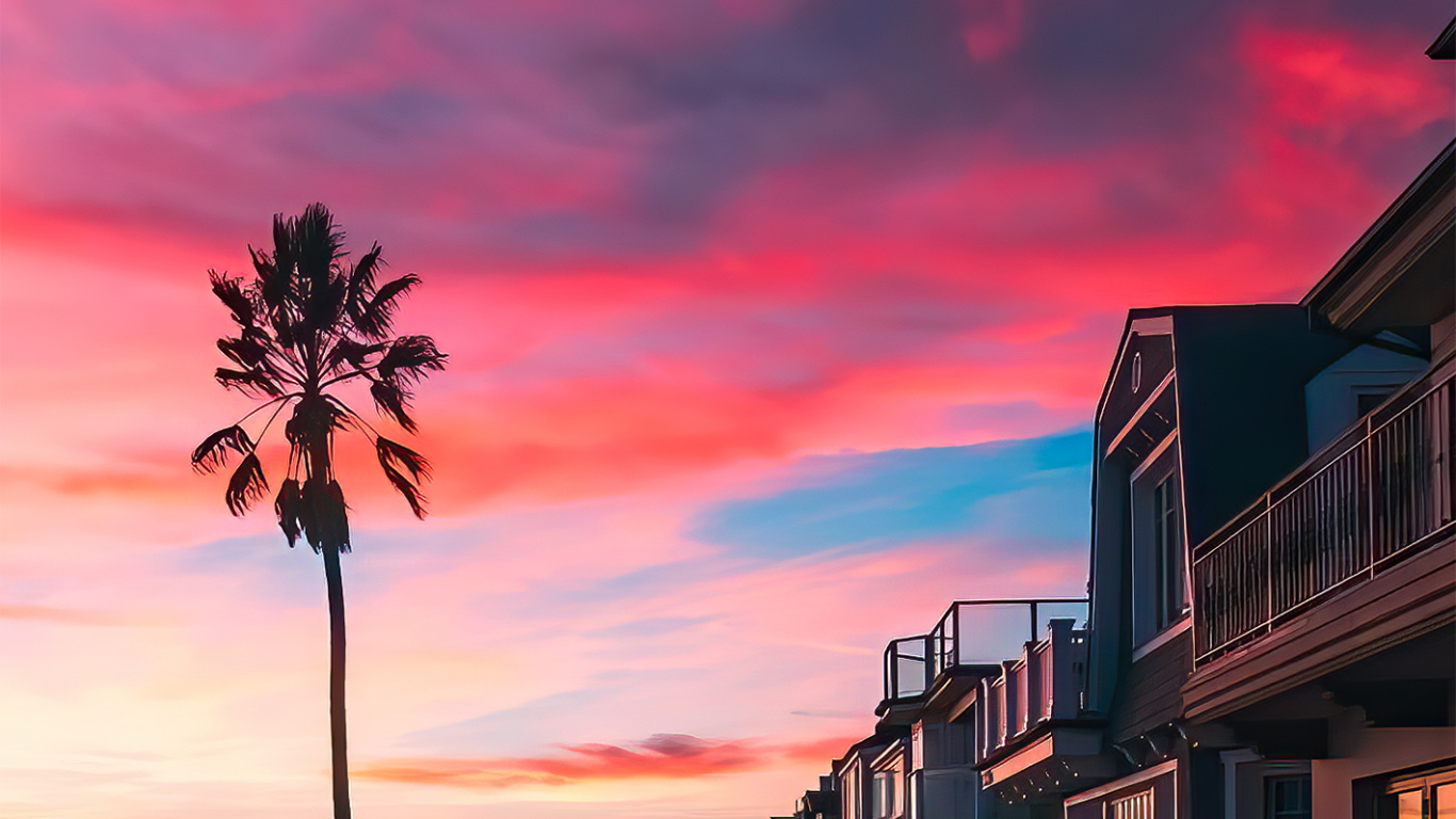 Обои Пальма, облако, атмосфера, дерево, послесвечение в разрешении 1366x768