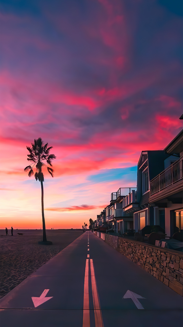 Обои Пальма, облако, атмосфера, дерево, послесвечение в разрешении 750x1334