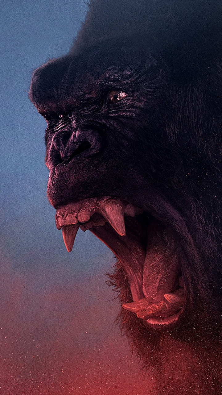 Обои Легендарные Развлечения, Уорнер Бразерс, морда, примас, обыкновенные шимпанзе в разрешении 720x1280