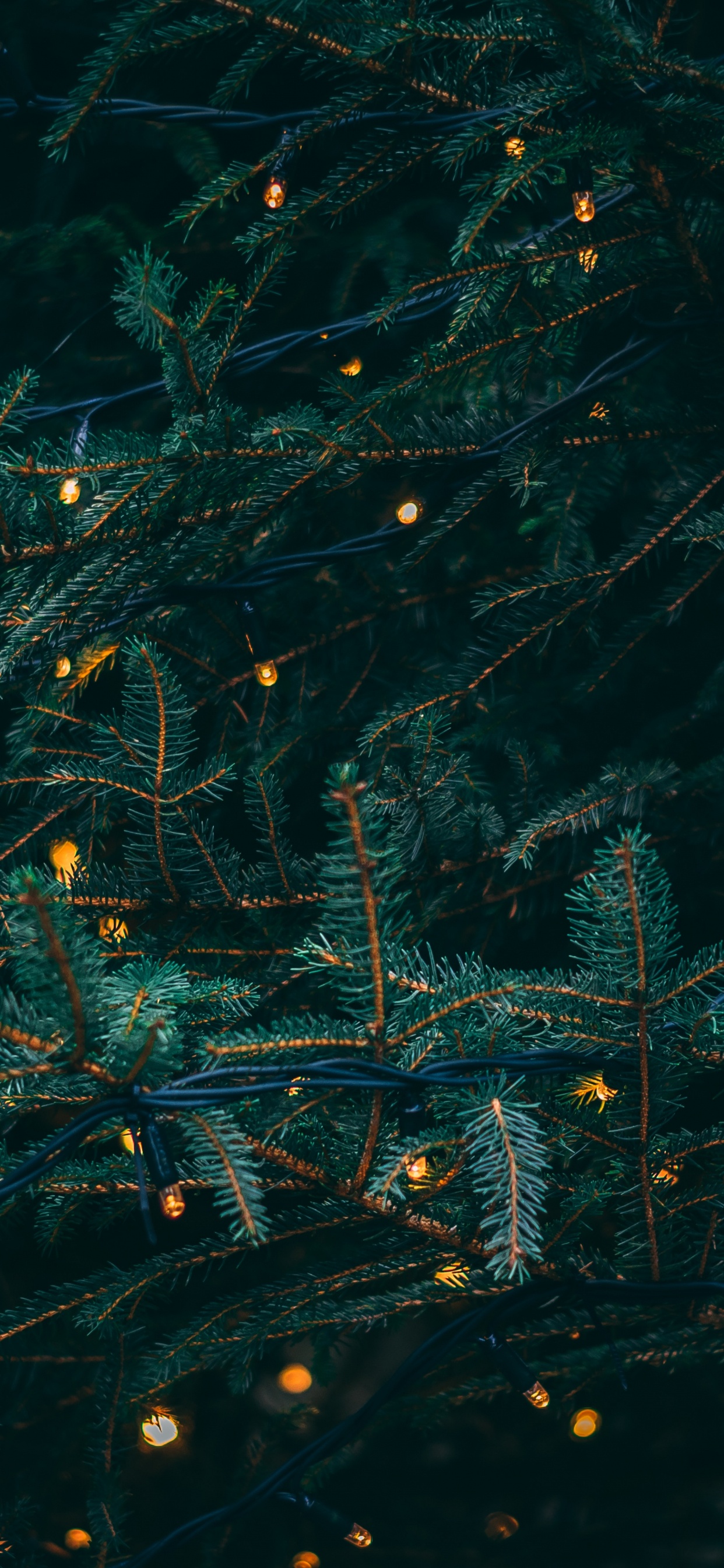 Обои Рождественский день, Рождественские огни, вода, бирюза, узор в разрешении 1242x2688