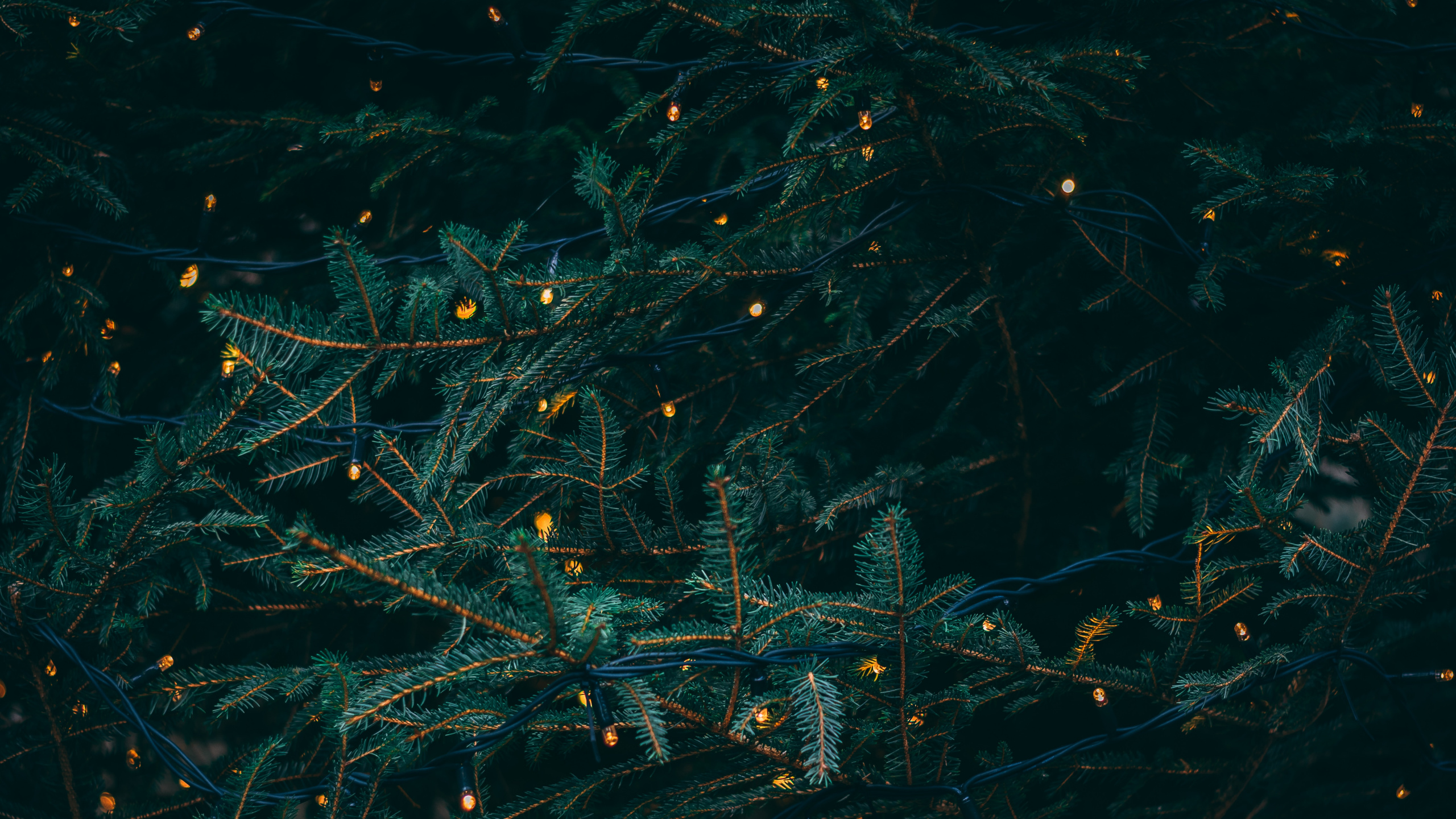 Обои Рождественский день, Рождественские огни, вода, бирюза, узор в разрешении 2560x1440