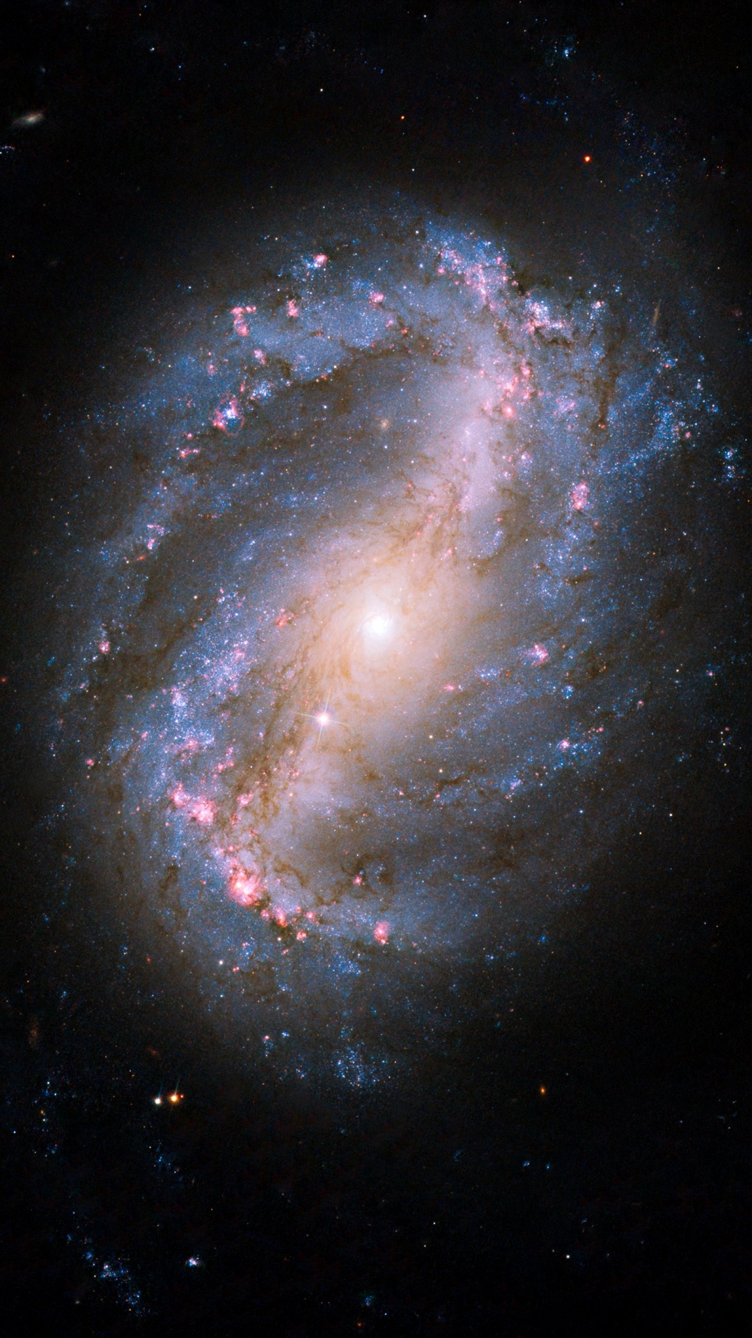 Обои Спиральная галактика с перемычкой ngc 6217, звезда, Галактика, спиральная Галактика, нгк 6217 в разрешении 1080x1920
