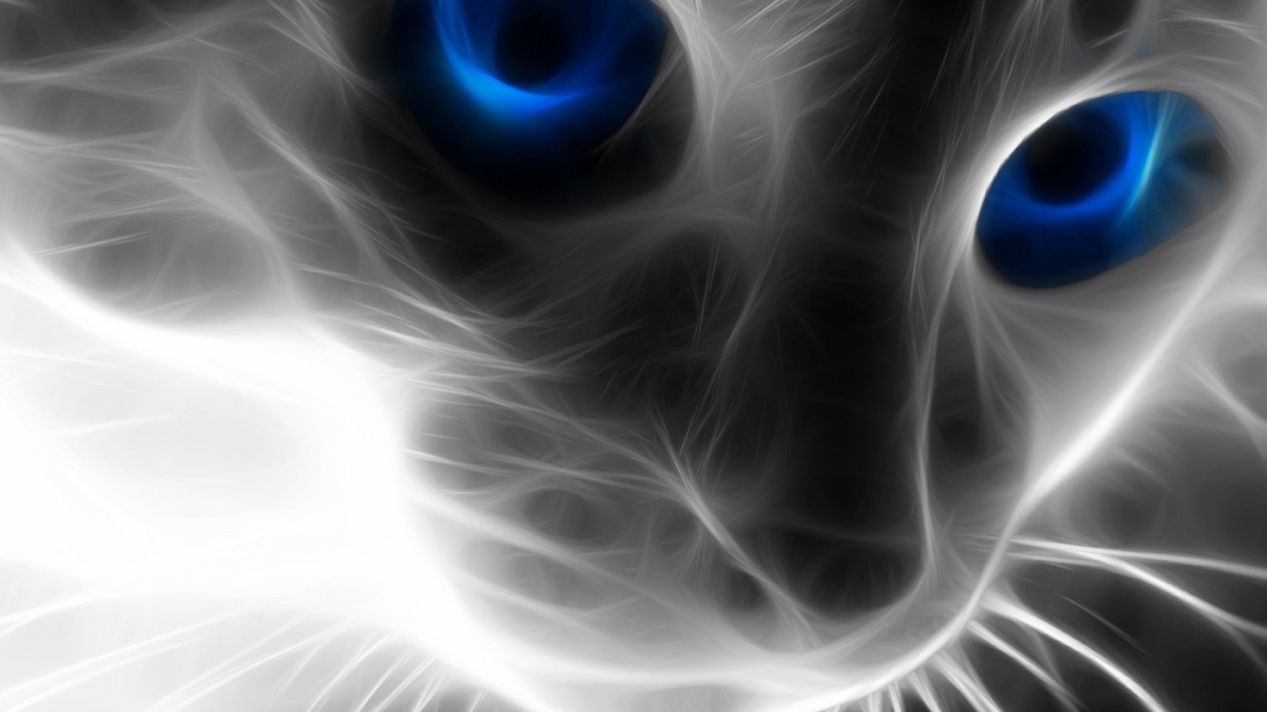 Обои кот, бакенбарды, кошачьих, фрактальное искусство, морда в разрешении 2560x1440