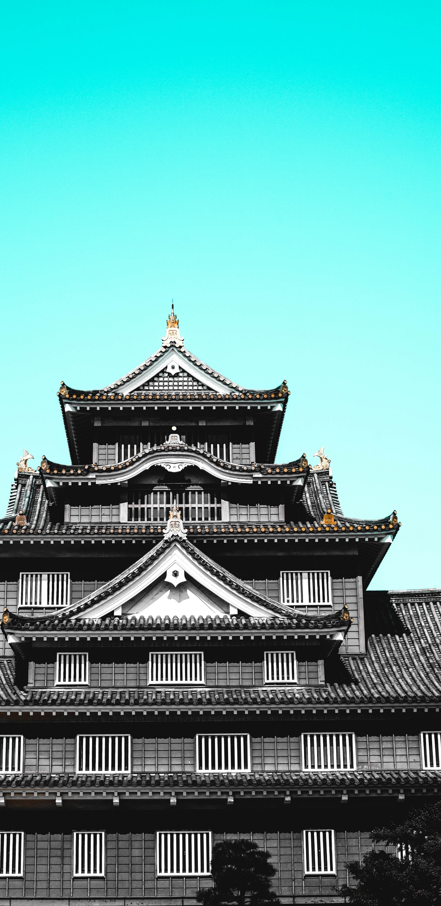 Обои архитектура, ориентир, небо, японская архитектура, фасад в разрешении 1440x2960