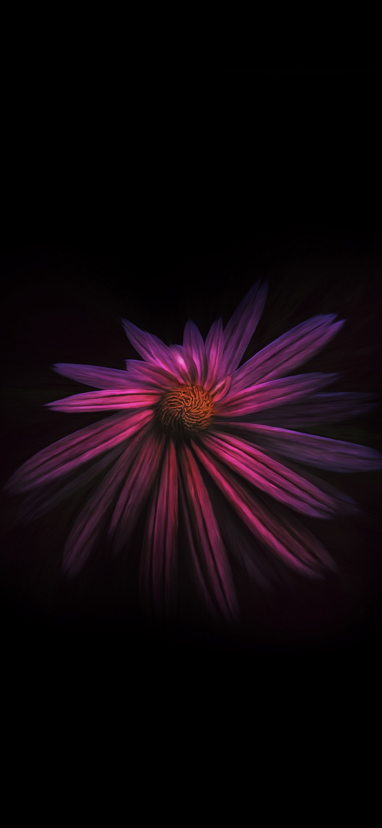 Обои Фиолетовый, пурпур, розовый, темнота, лепесток в разрешении 1242x2688