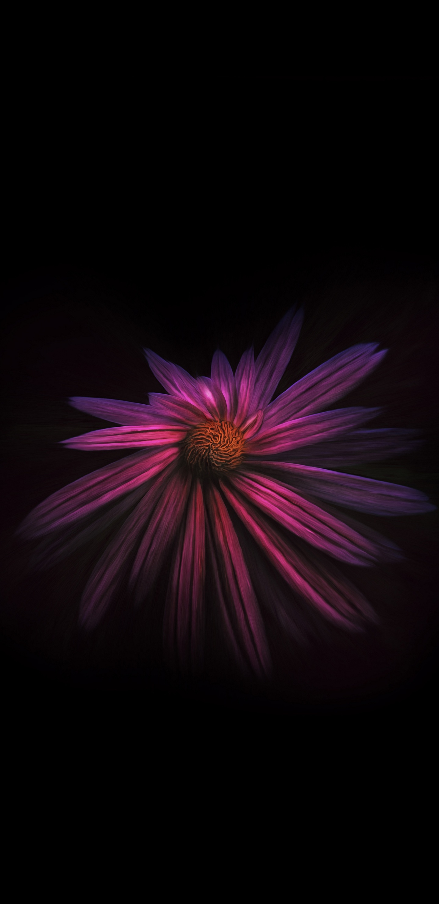 Обои Фиолетовый, пурпур, розовый, темнота, лепесток в разрешении 1440x2960