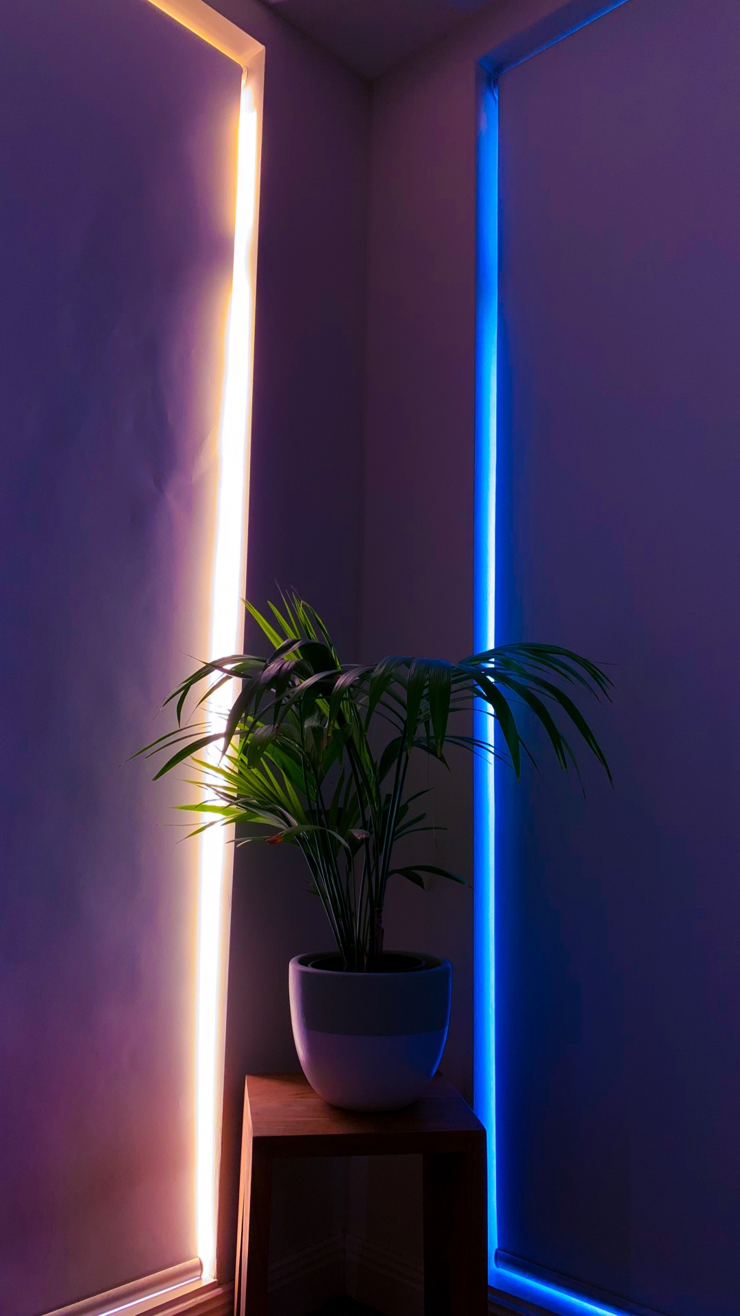 Обои пурпур, освещение, потолок, Фиолетовый, осветительная арматура в разрешении 1080x1920