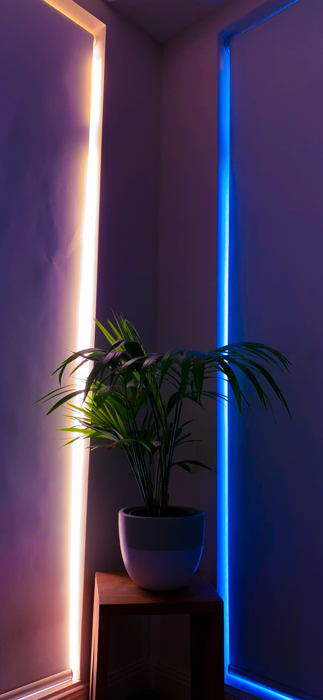 Обои пурпур, освещение, потолок, Фиолетовый, осветительная арматура в разрешении 1125x2436