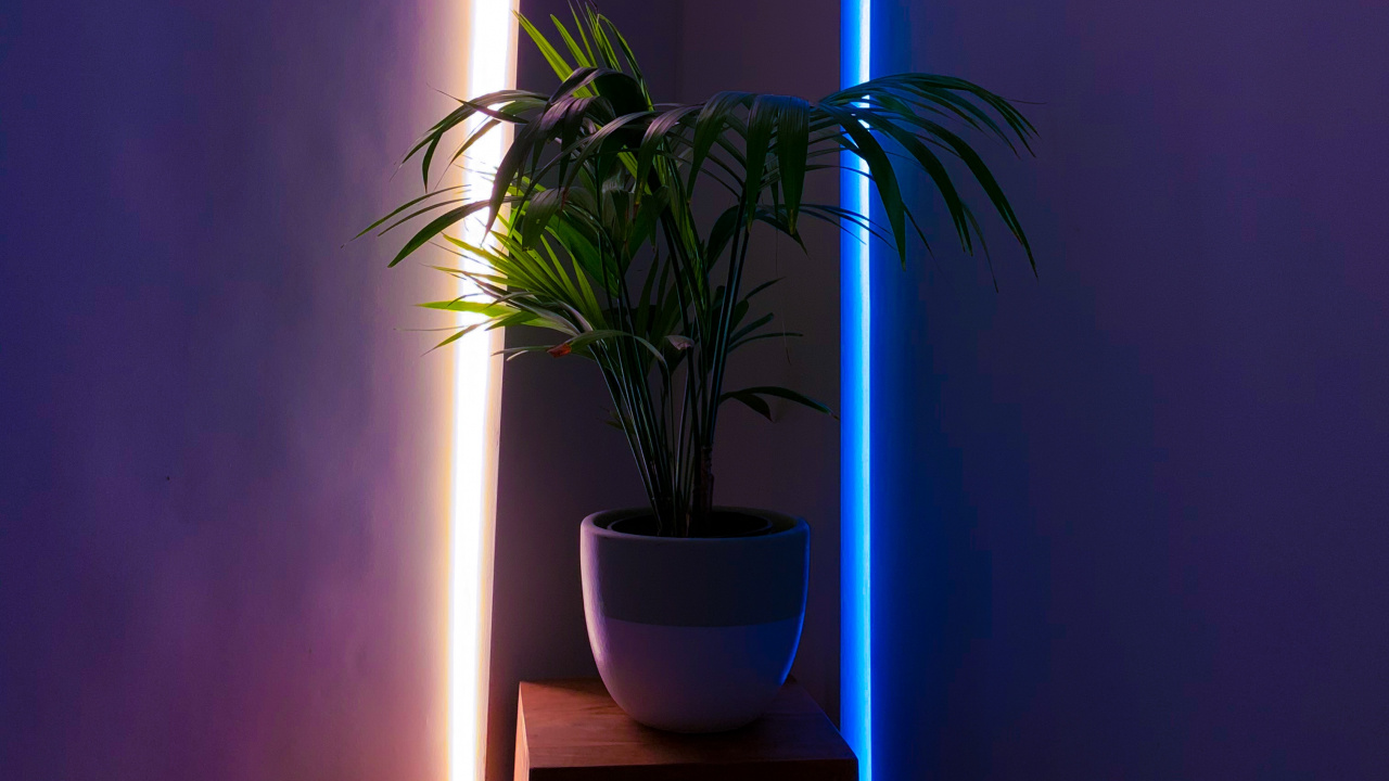 Обои пурпур, освещение, потолок, Фиолетовый, осветительная арматура в разрешении 1280x720