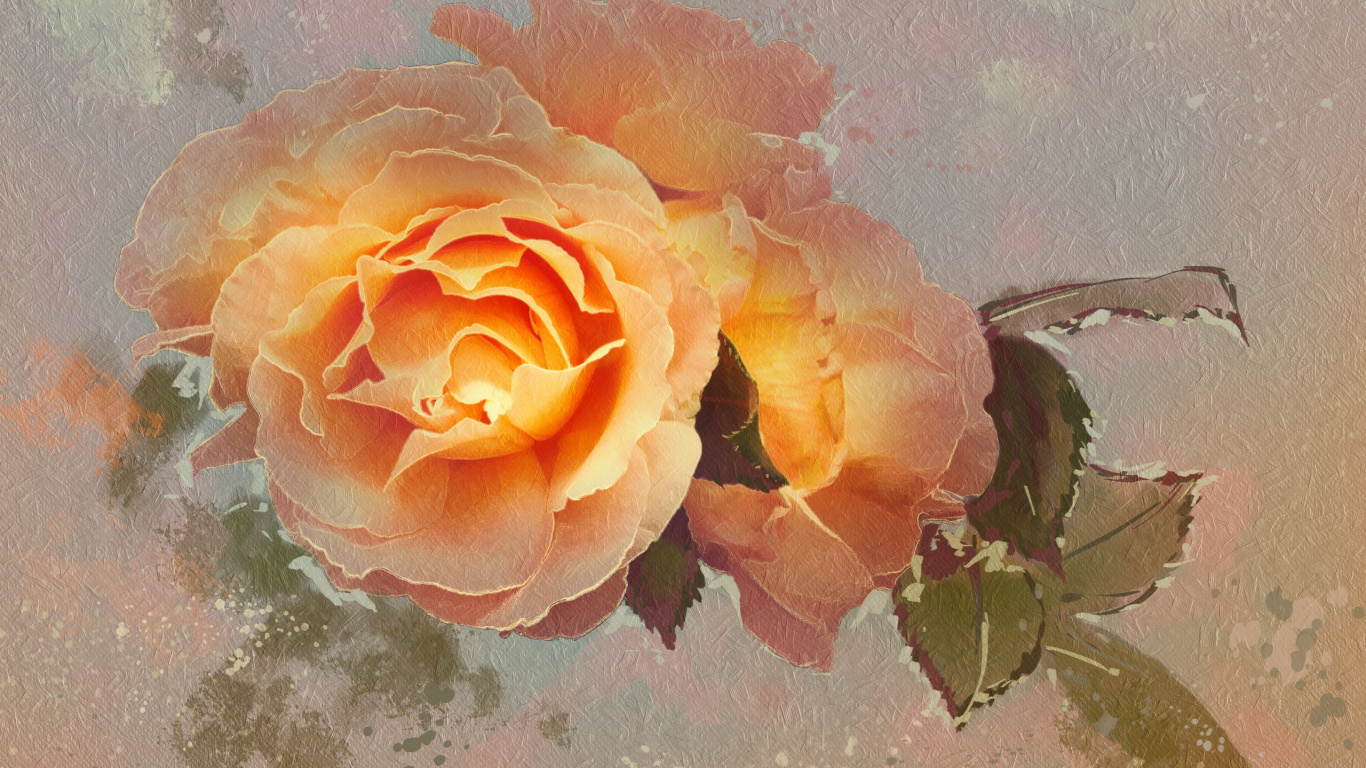 Обои сад роз, живопись, текстура, цветок, Роза в разрешении 1366x768