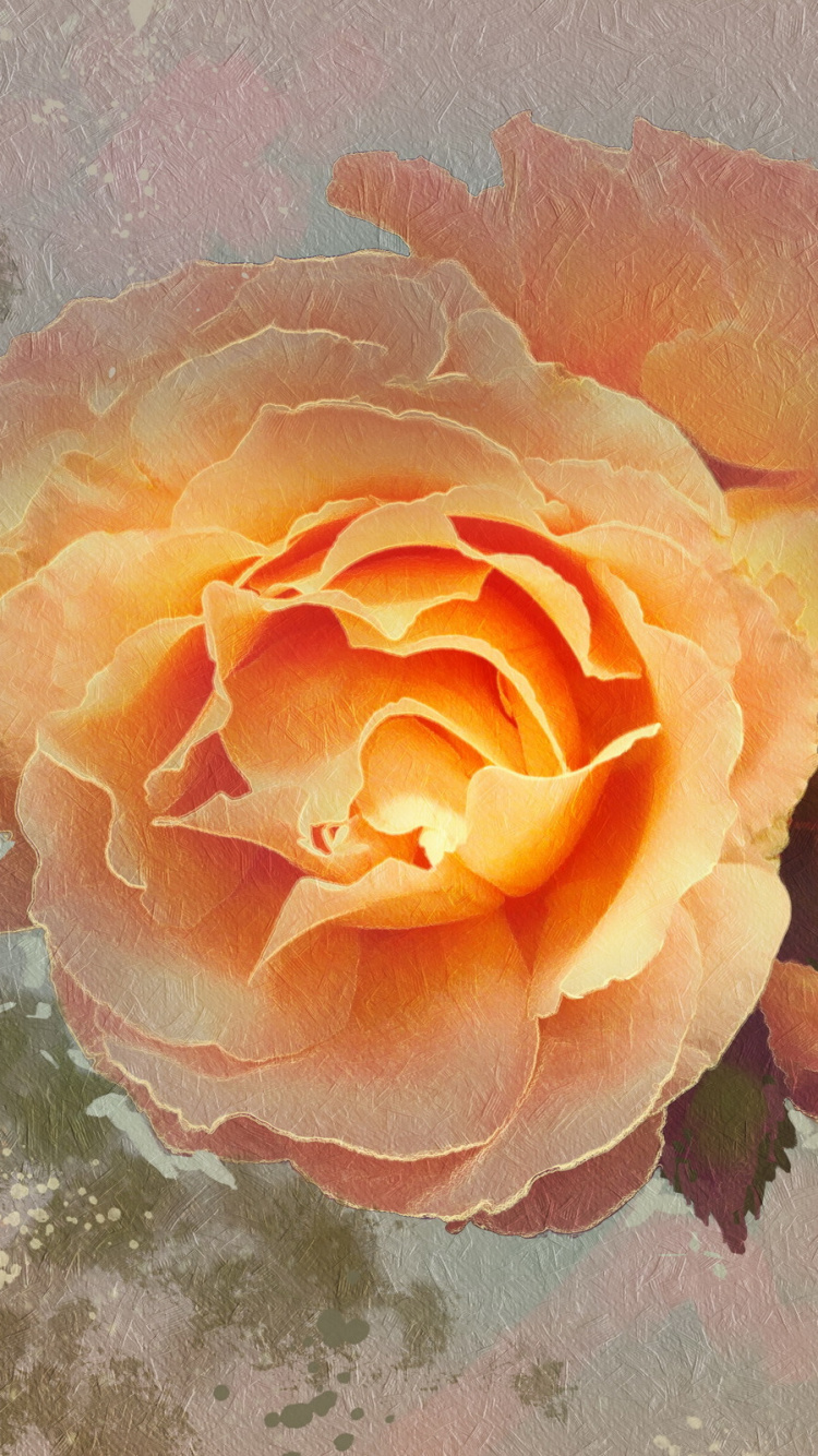 Обои сад роз, живопись, текстура, цветок, Роза в разрешении 750x1334