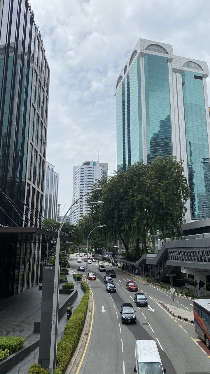 Обои Король, башня, дорога, архитектура, транспорт в разрешении 720x1280