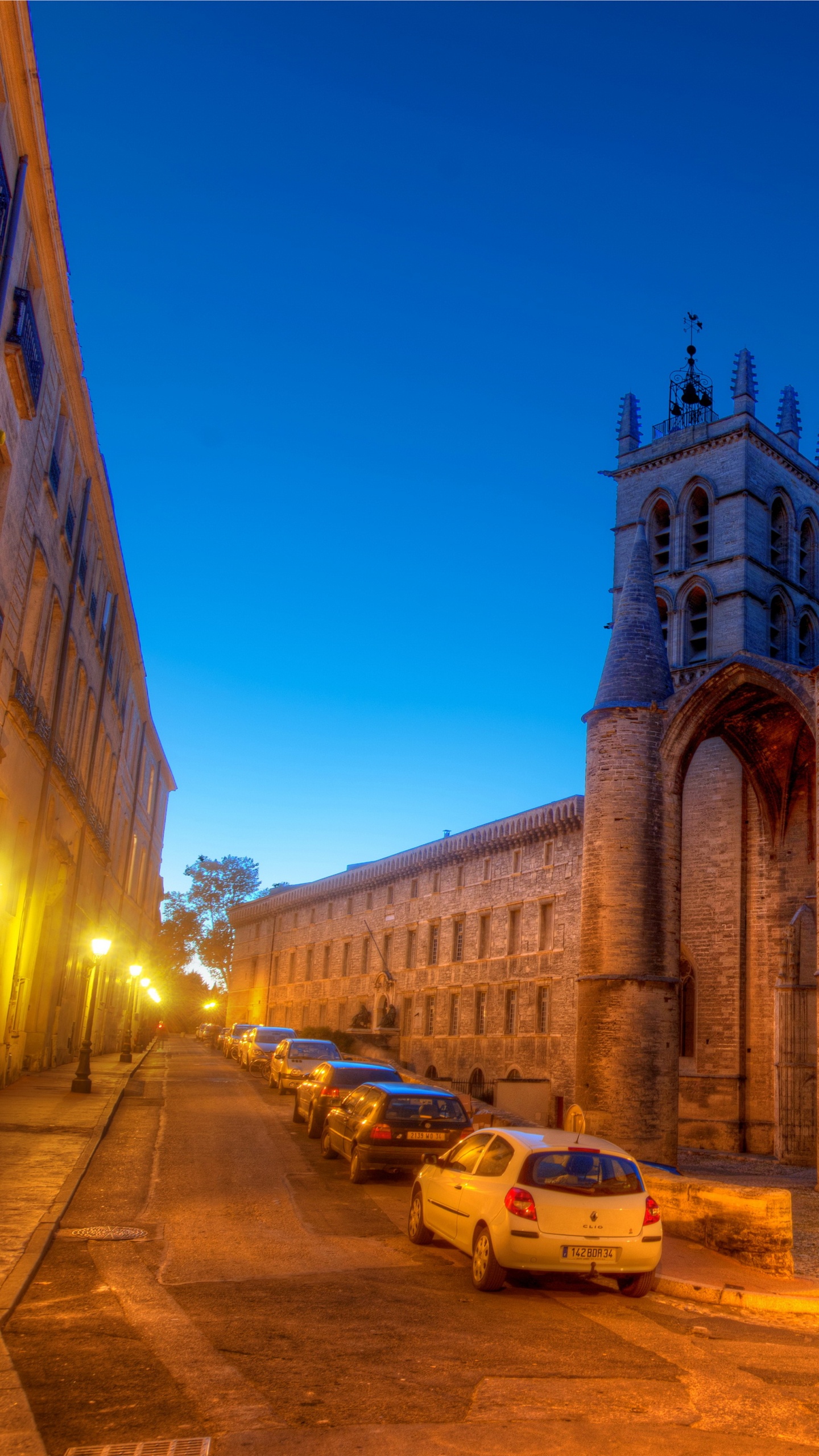 Обои ориентир, городок, здание, собор, вечер в разрешении 1440x2560