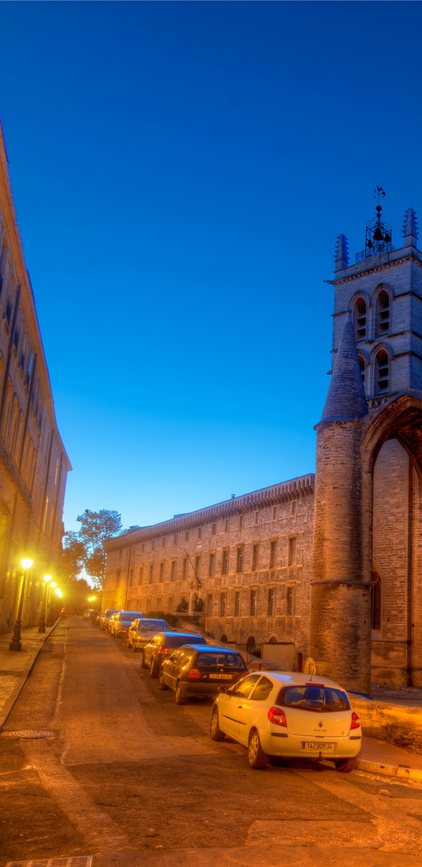 Обои ориентир, городок, здание, собор, вечер в разрешении 1440x2960