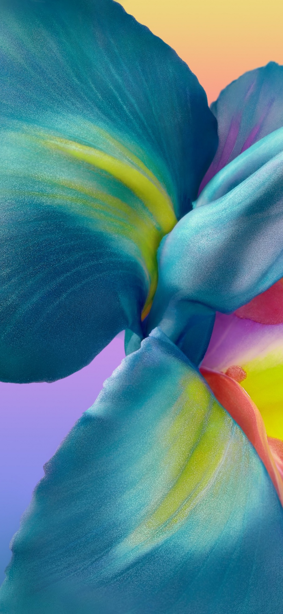 Обои Huawei, Huawei P40 Pro, huawei p40 pro обои, huawei p40, huawei mate 30 в разрешении 1125x2436