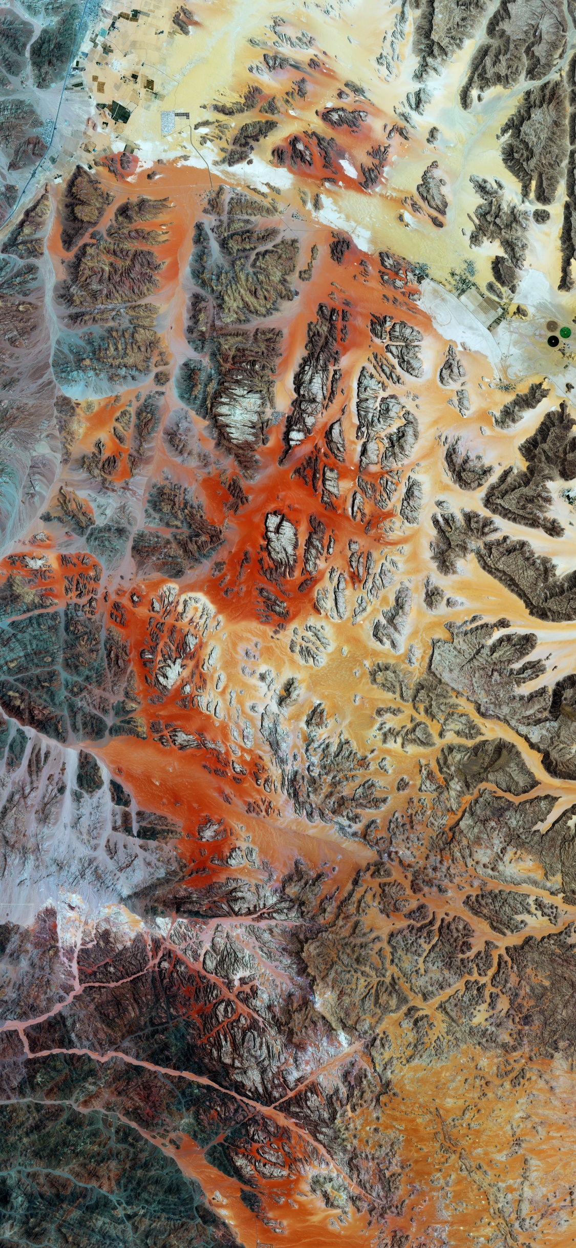 Обои геология, лист, цифровая живопись, современное искусство, живопись в разрешении 1125x2436