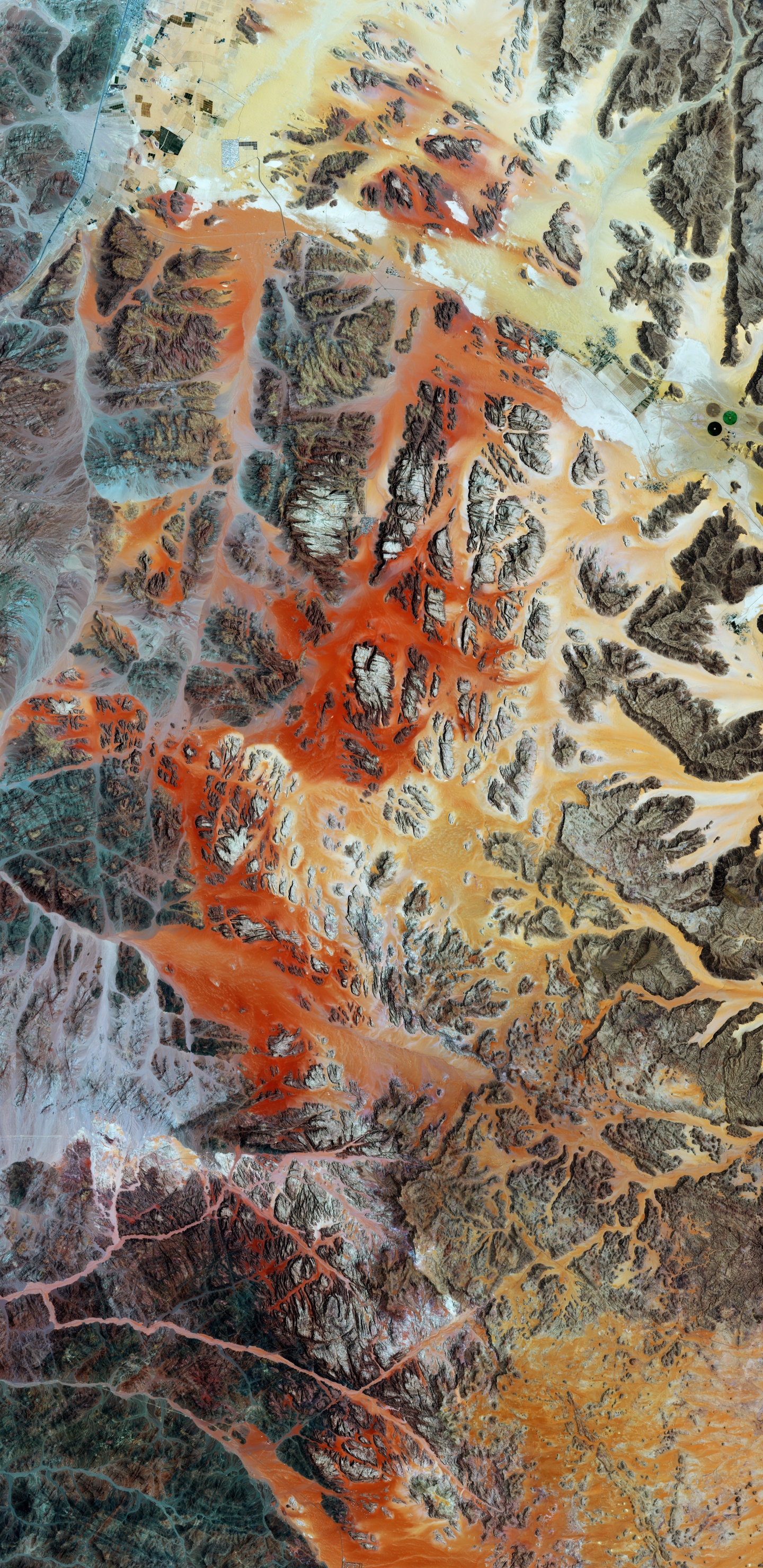 Обои геология, лист, цифровая живопись, современное искусство, живопись в разрешении 1440x2960