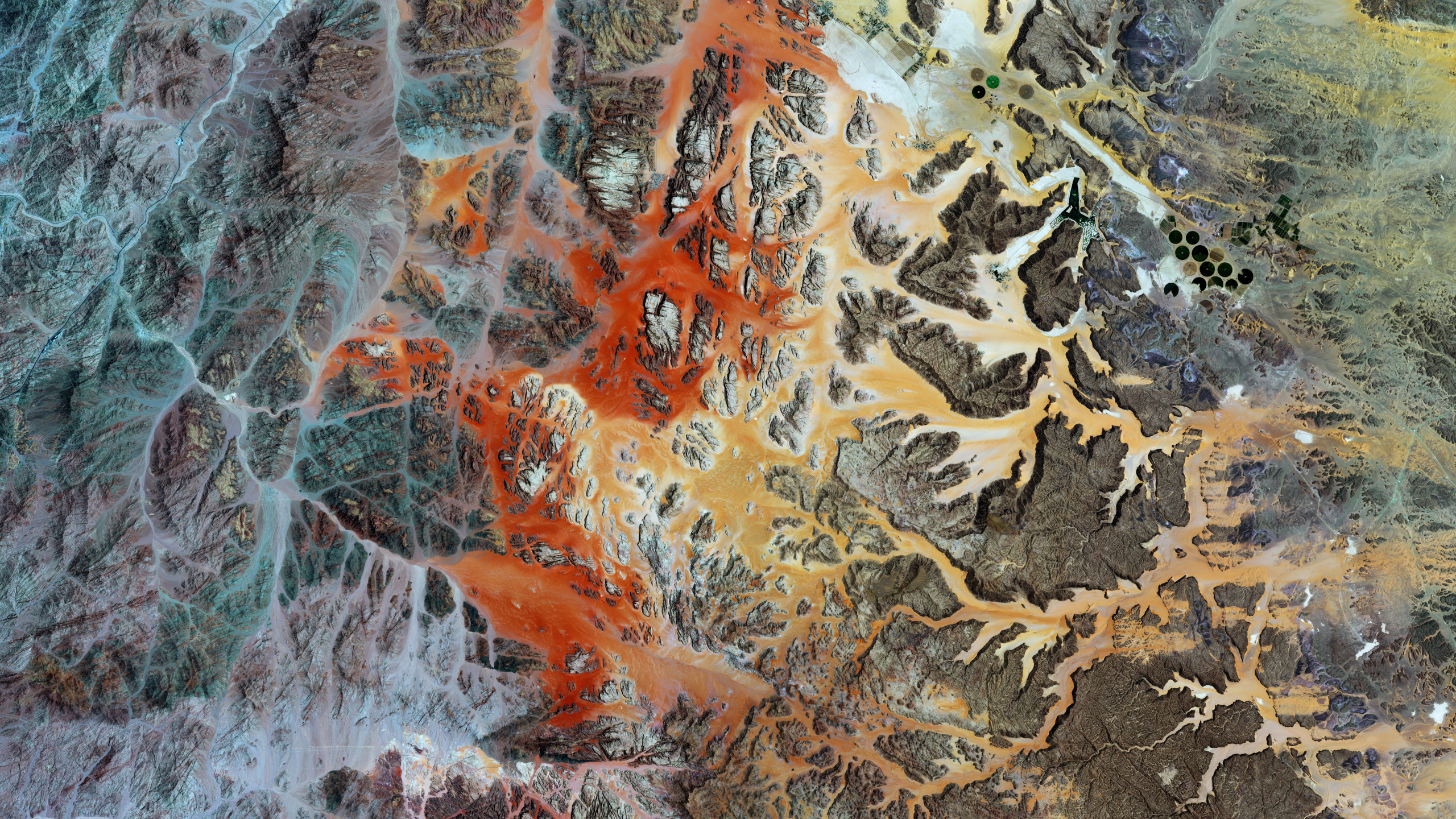 Обои геология, лист, цифровая живопись, современное искусство, живопись в разрешении 2560x1440