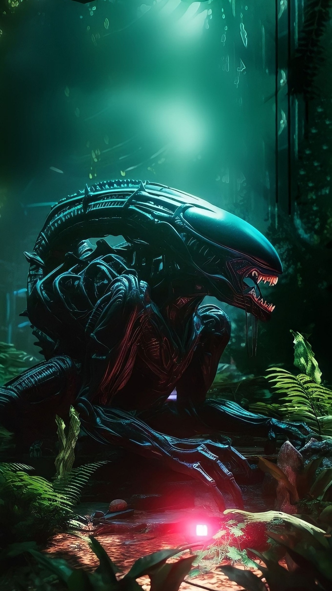 Обои подземные воды, биология, морская биология, старовозрастные леса, рост в разрешении 1080x1920