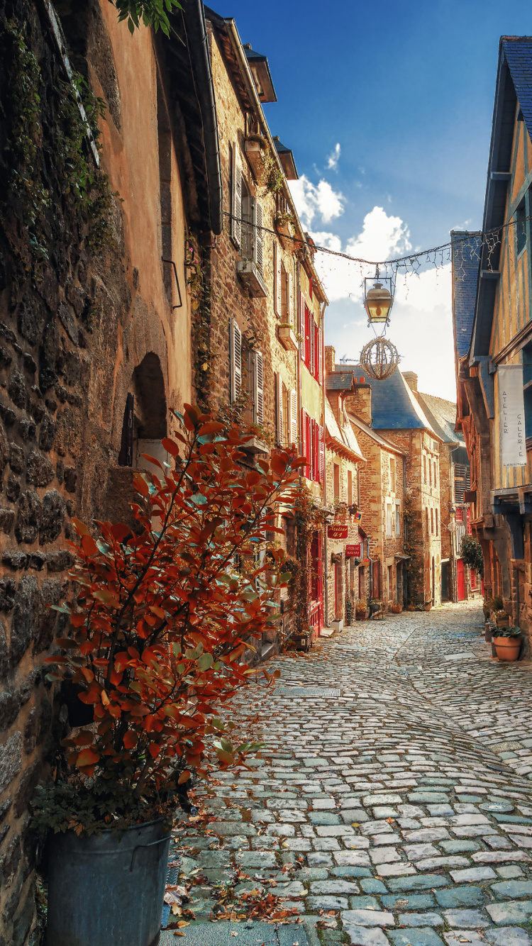 Обои улица, дорога, аллея, городок, соседство в разрешении 750x1334