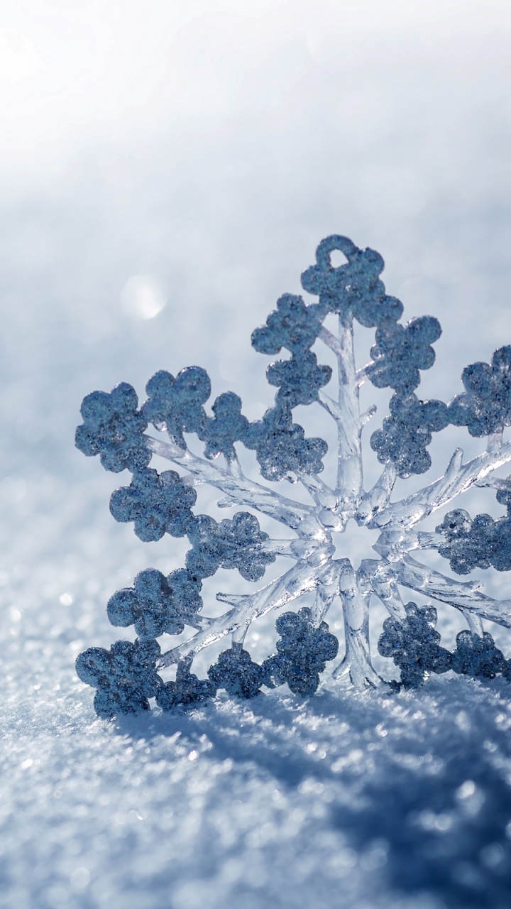 Обои Снежинка, снег, зима, облако, замораживание в разрешении 720x1280