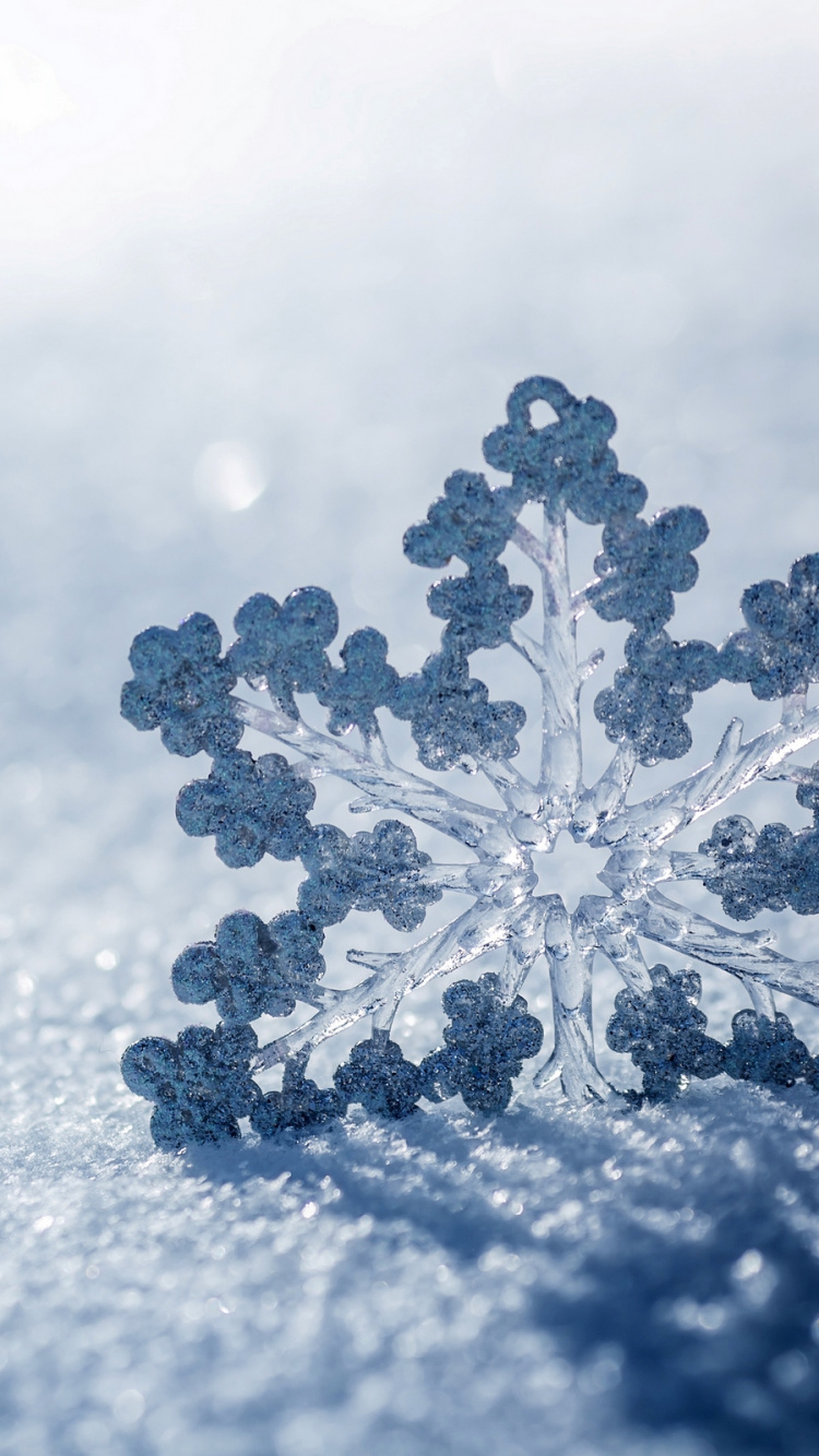 Обои Снежинка, снег, зима, облако, замораживание в разрешении 750x1334