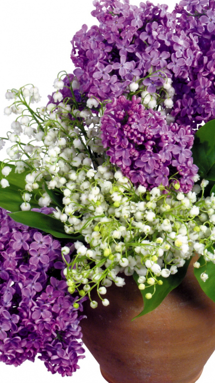 Обои цветочный дизайн, цветочный букет, цветковое растение, срезанные цветы, сирень в разрешении 750x1334