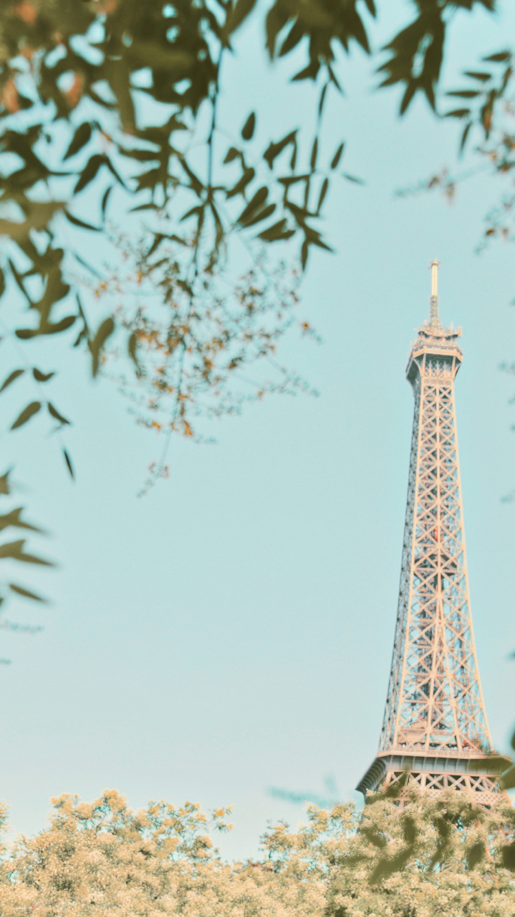 Обои архитектура, Эйфелева башня, вышка, растение, дерево в разрешении 750x1334