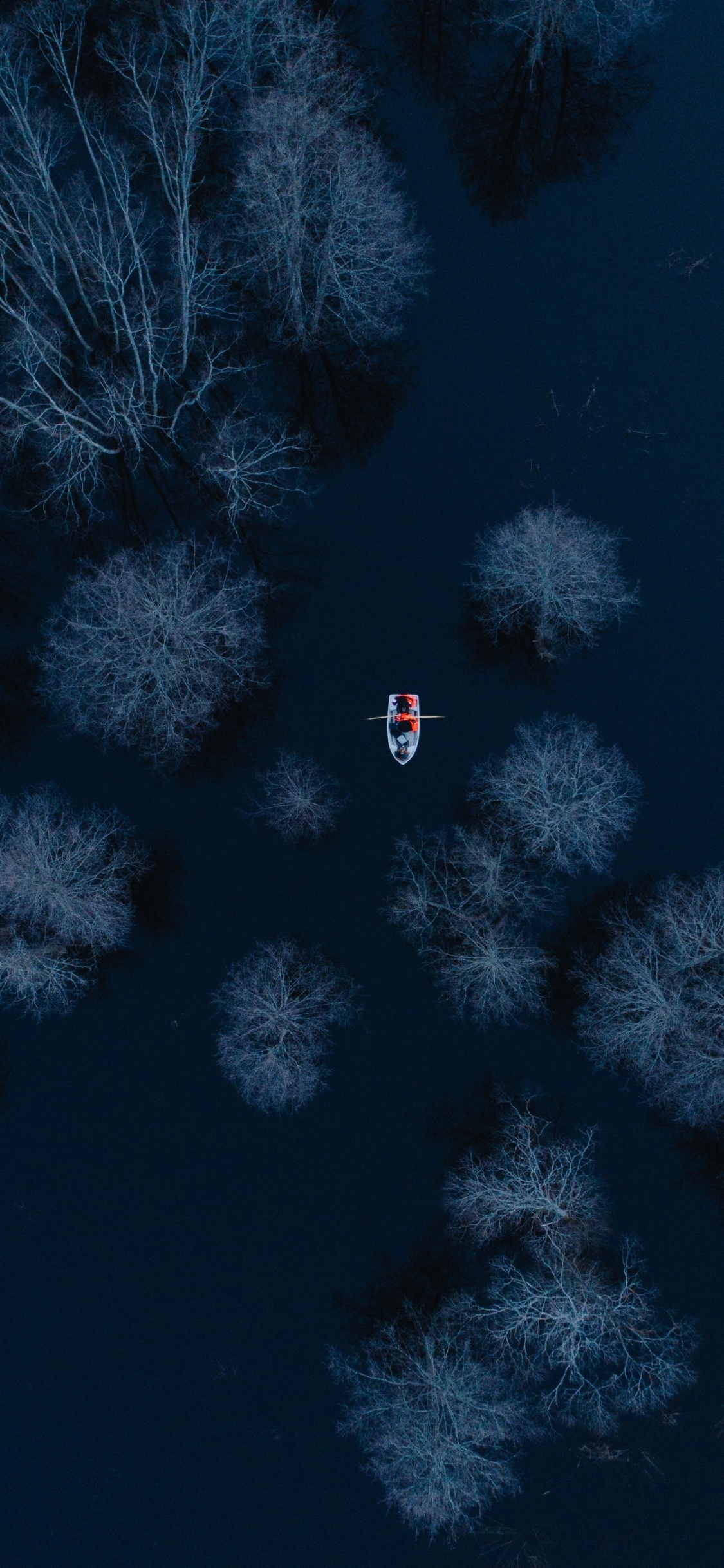 Обои синий, электрик, атмосфера, лазурный, вода в разрешении 1125x2436