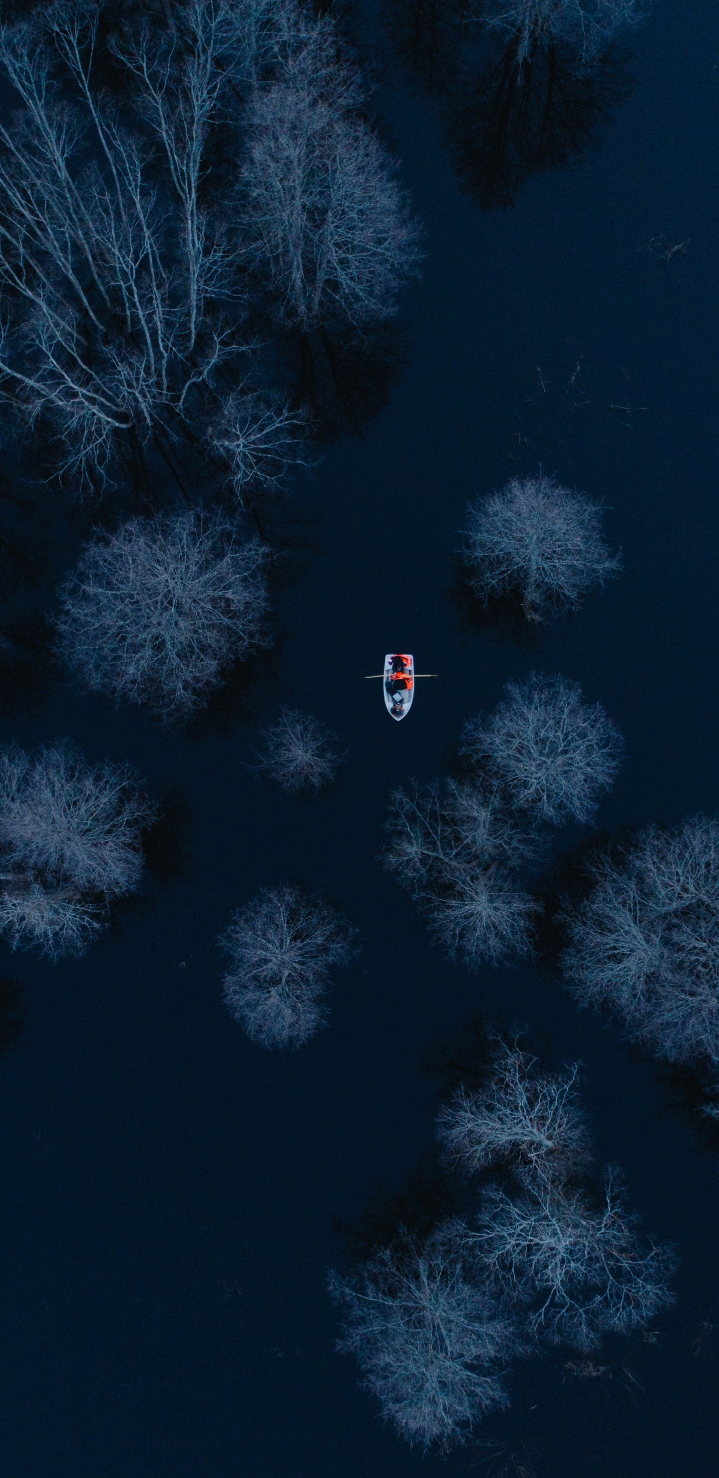 Обои синий, электрик, атмосфера, лазурный, вода в разрешении 1440x2960