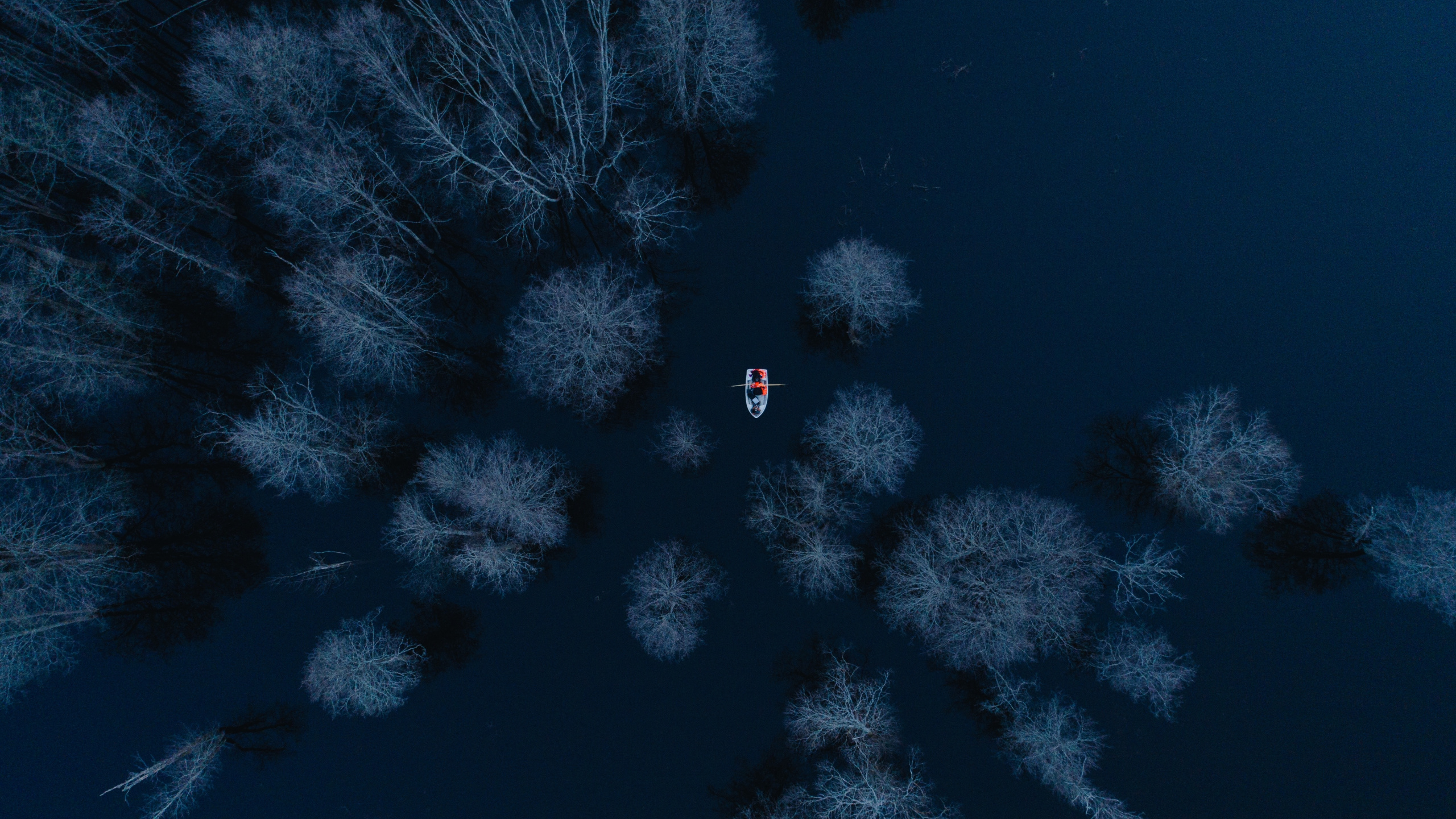 Обои синий, электрик, атмосфера, лазурный, вода в разрешении 2560x1440