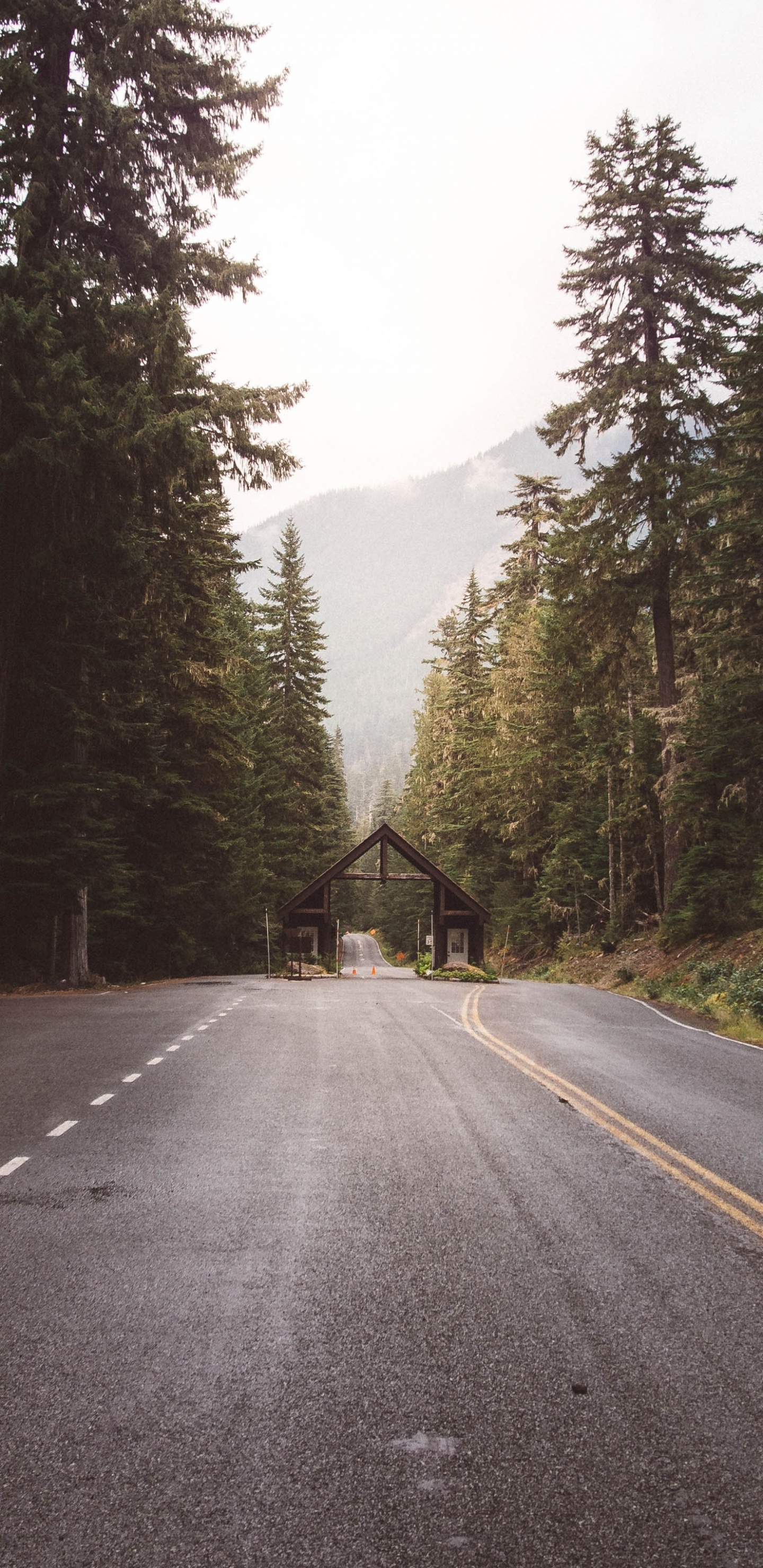 Обои национальный парк Маунт рейнир, дорожное покрытие, дорожное путешествие, небо, солнечный свет в разрешении 1440x2960