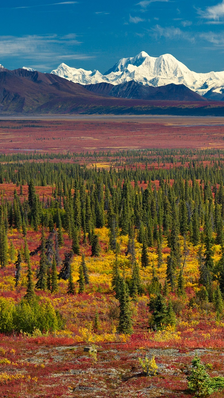 Обои природа, дикая местность, гора, тундра, национальный парк в разрешении 720x1280