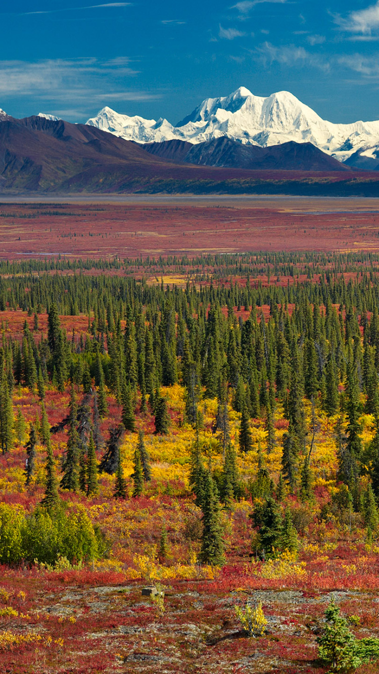 Обои природа, дикая местность, гора, тундра, национальный парк в разрешении 750x1334