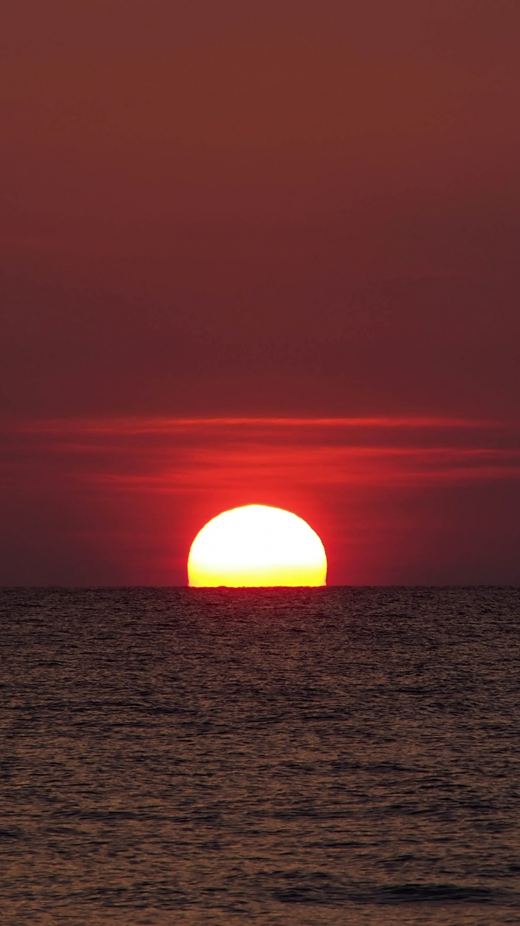 Обои горизонт, вода, послесвечение, сумрак, Апельсин в разрешении 750x1334