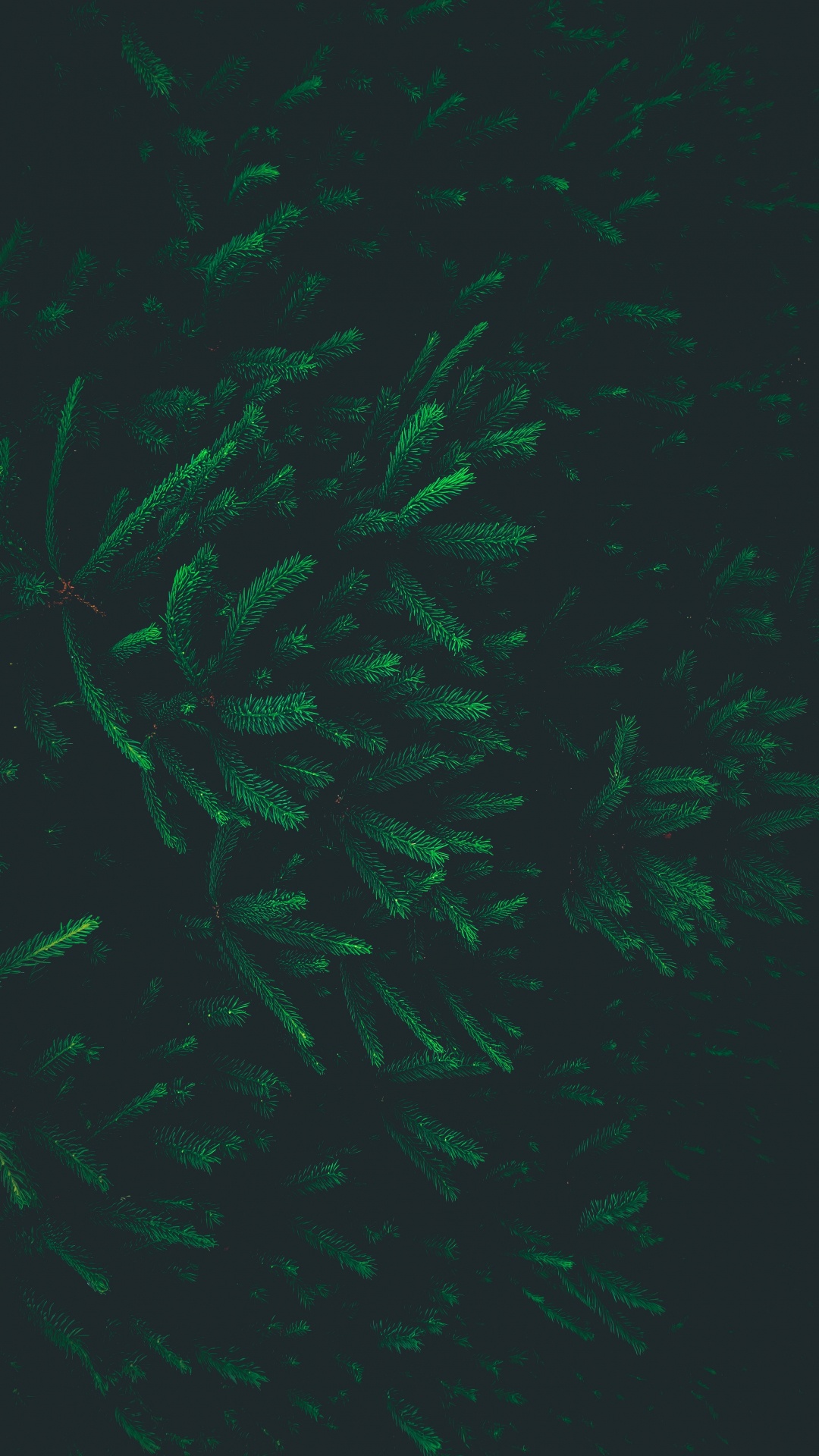 Обои узор, зеленый, лист, спецэффекты, биом в разрешении 1080x1920