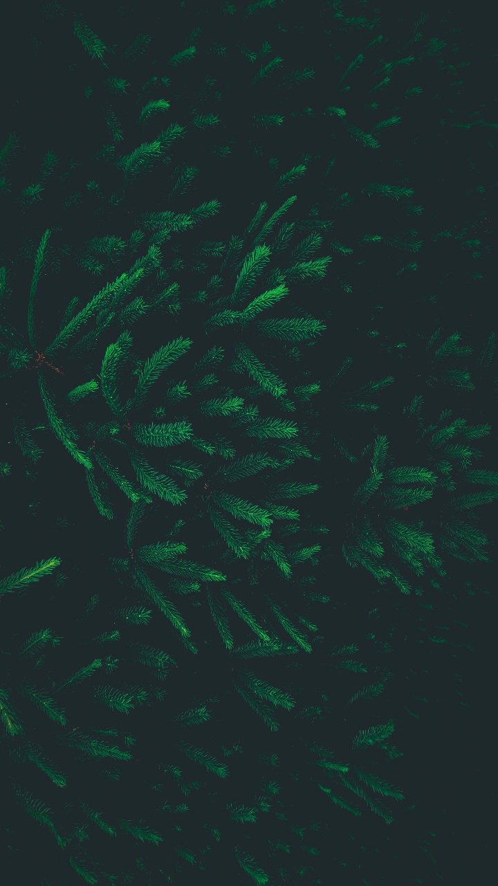 Обои узор, зеленый, лист, спецэффекты, биом в разрешении 720x1280