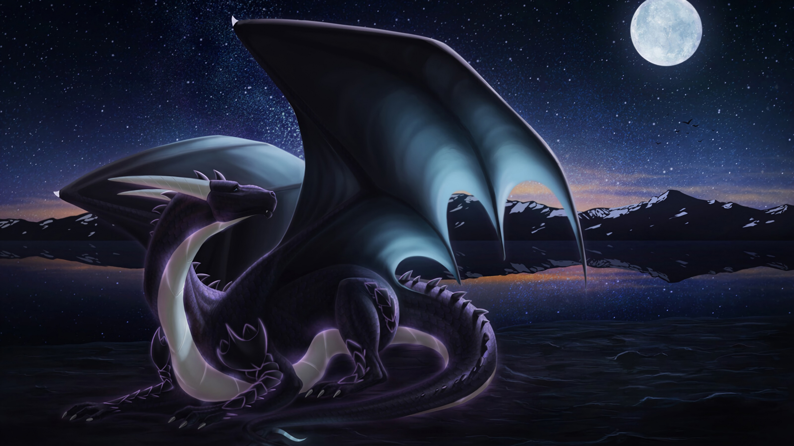 Обои дракон, космос, иллюстрация, графический дизайн, астрономический объект в разрешении 2560x1440